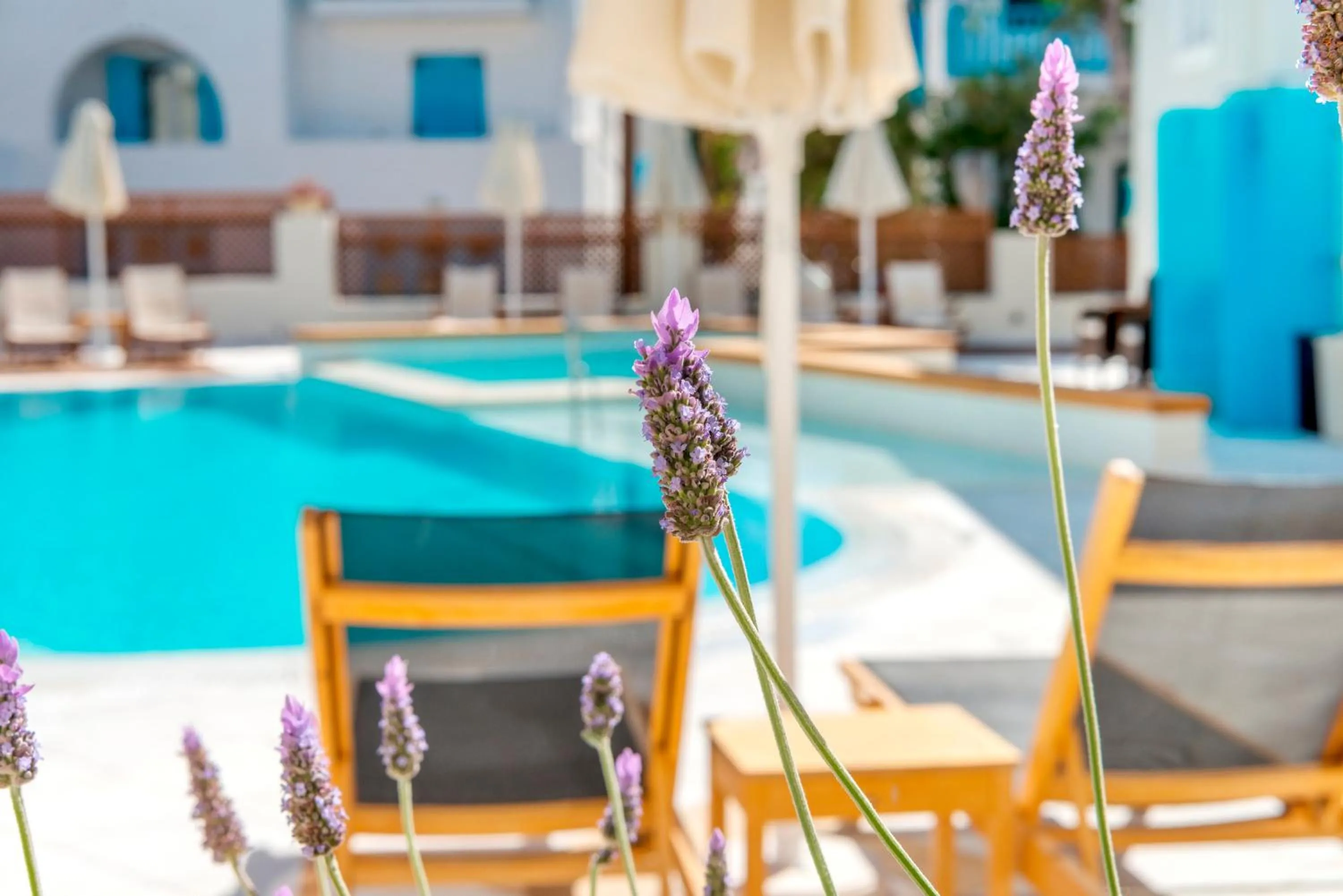 Spring in Nissaki Beach Hotel