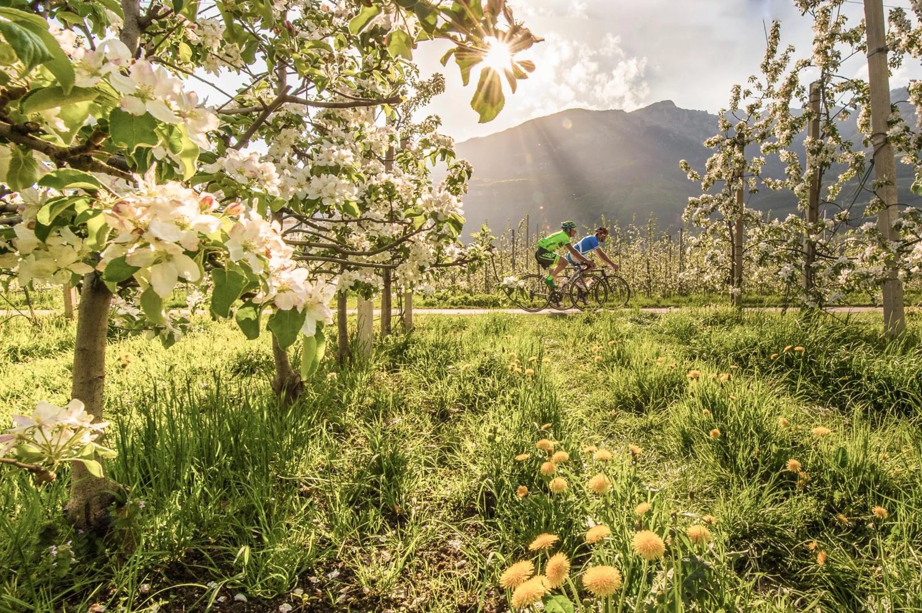 Natural landscape in Hotel Traminerhof