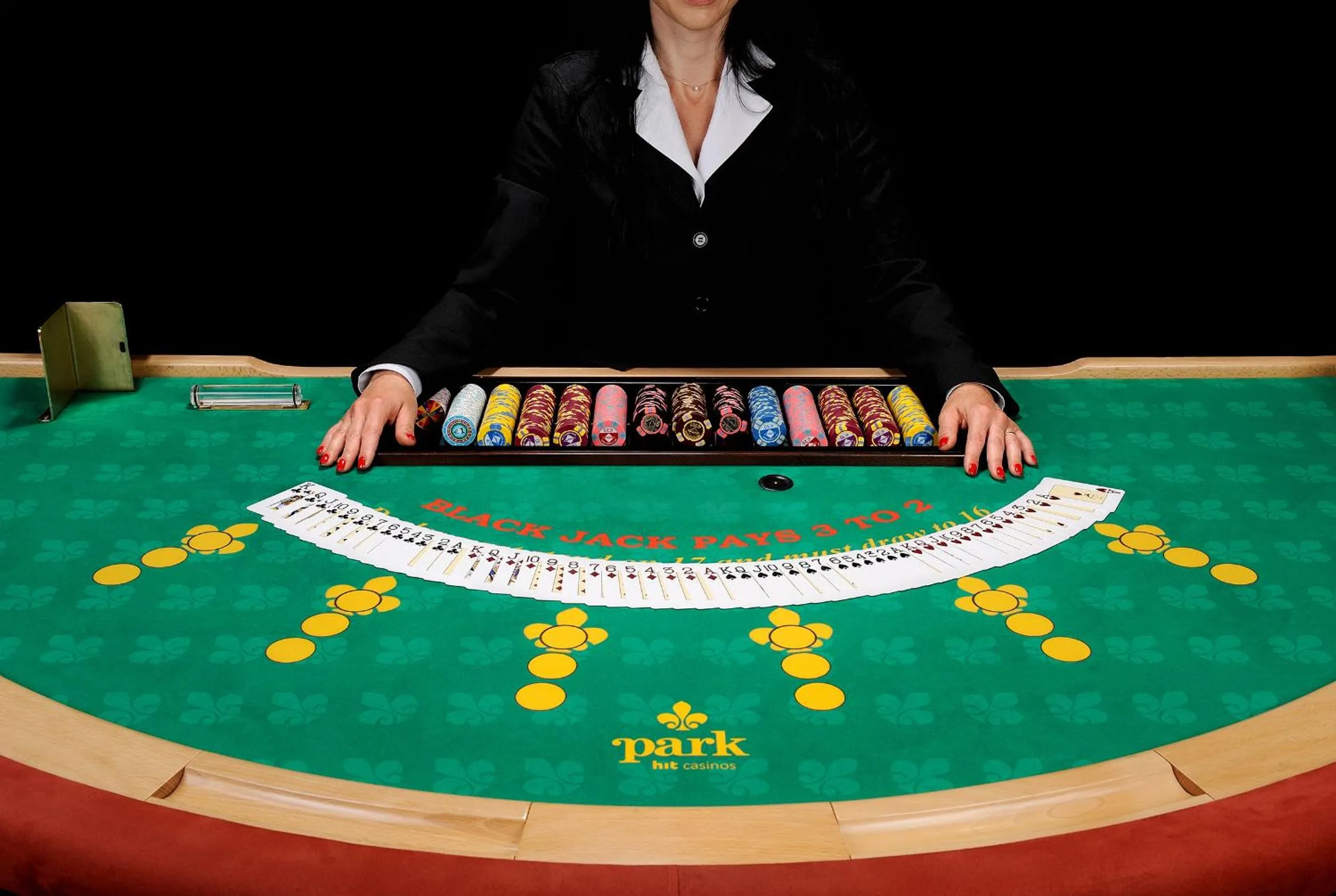 Casino in Park, Hotel & Entertainment