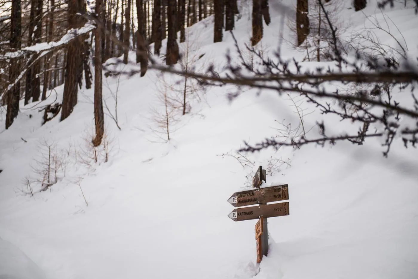 Natural landscape in Tonzhaus Hotel