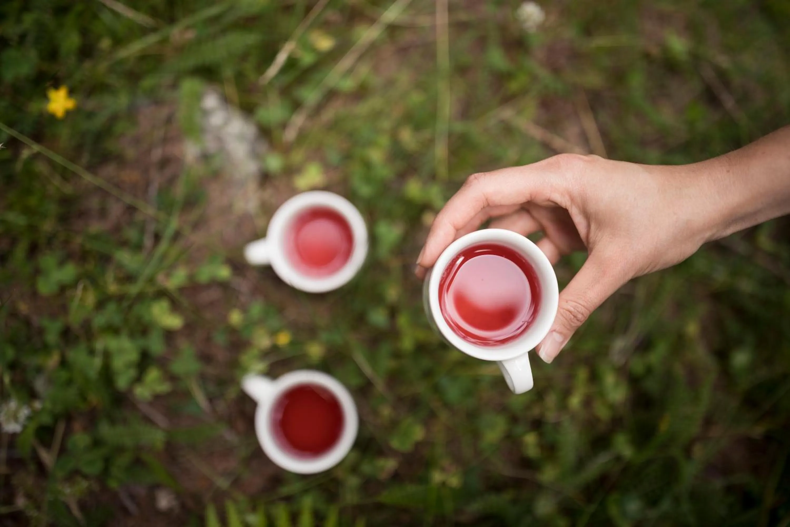 Hiking in Tonzhaus Hotel