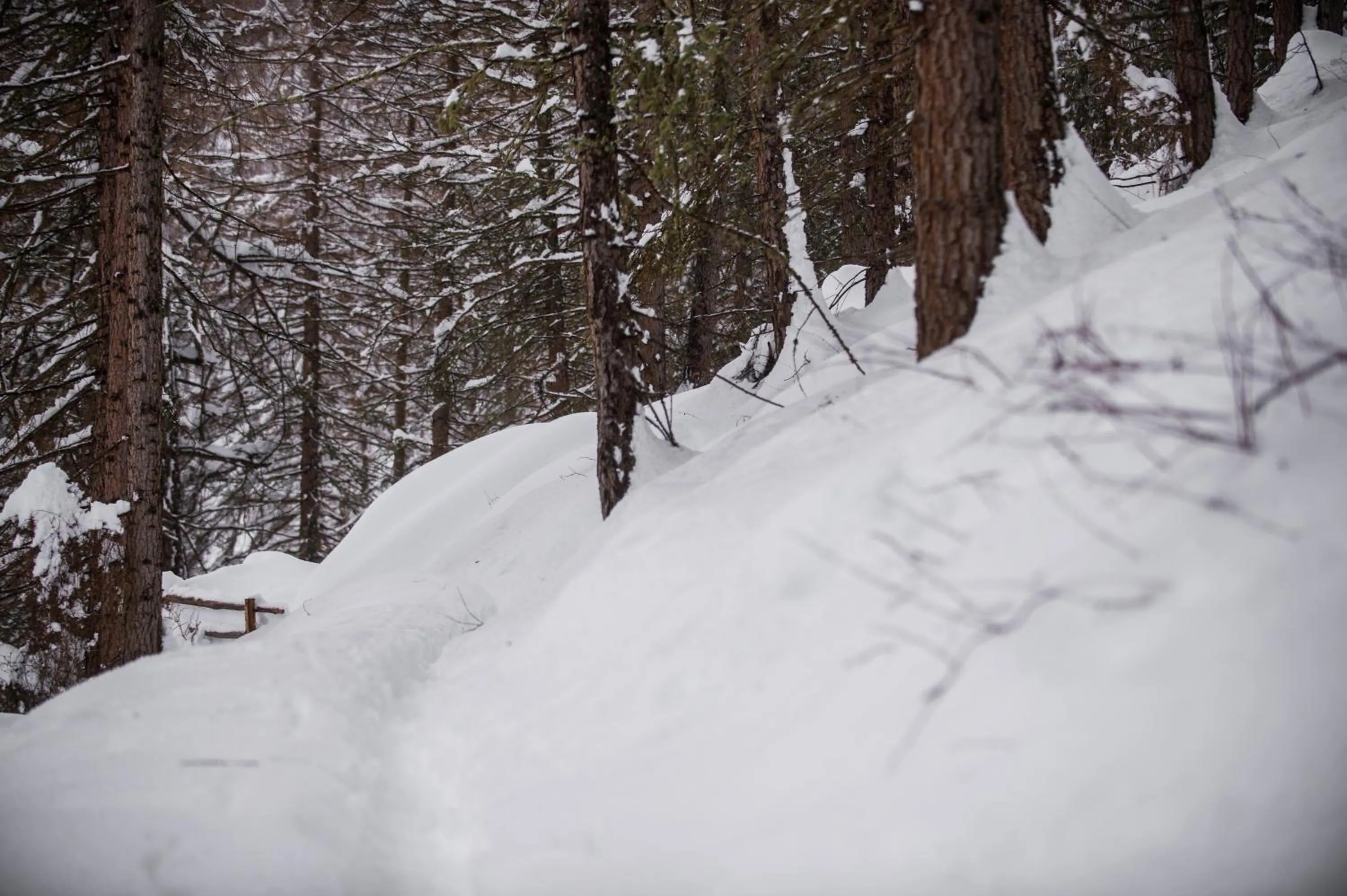 Natural landscape in Tonzhaus Hotel
