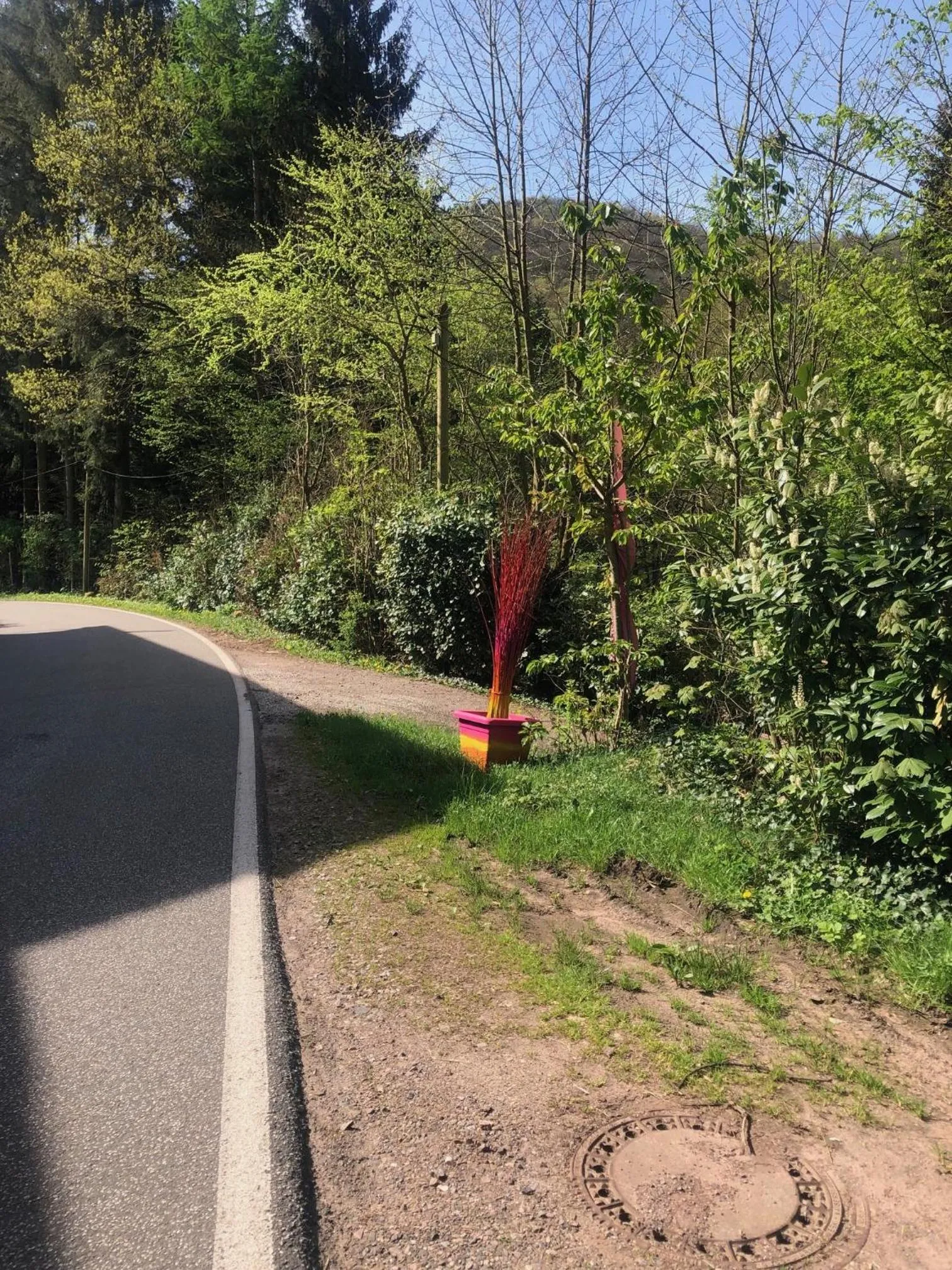 Street view in Haus 3 Birken