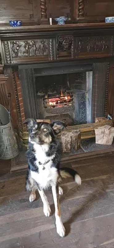 The Black Bull Inn and Hotel