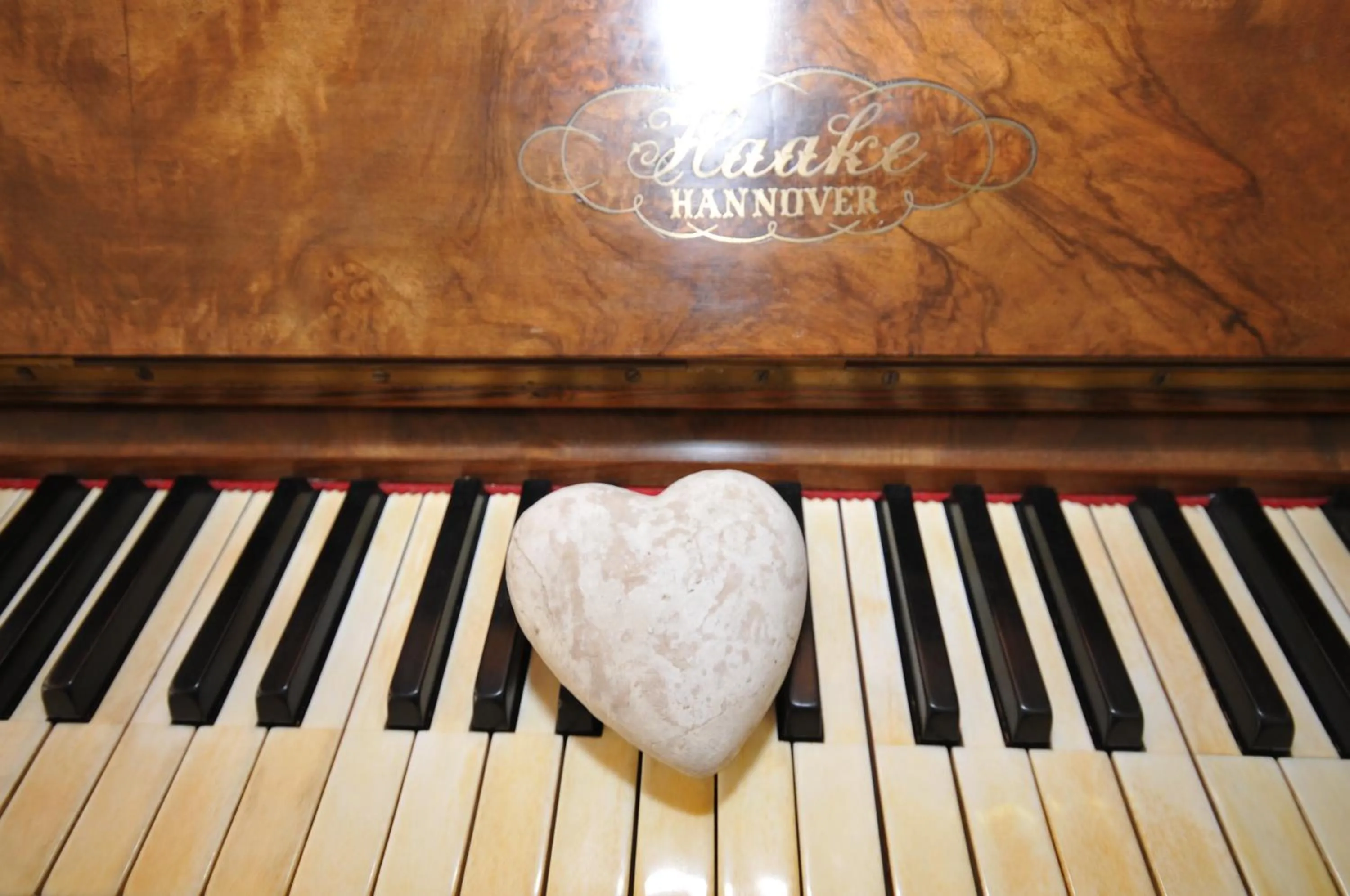 Decorative detail in Hotel Crystal