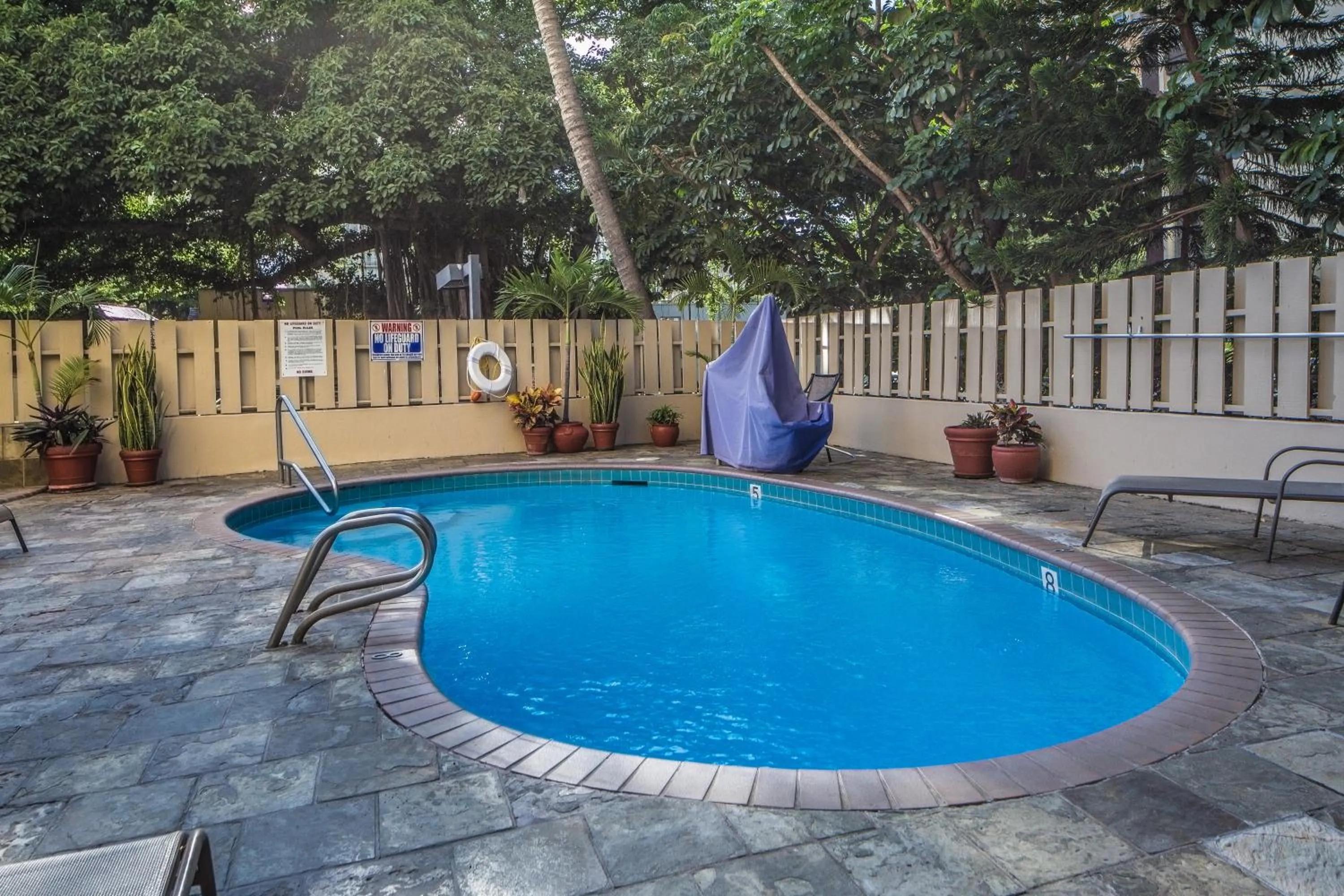 Swimming pool in Renovated Studio with Pool Access at Aloha Surf