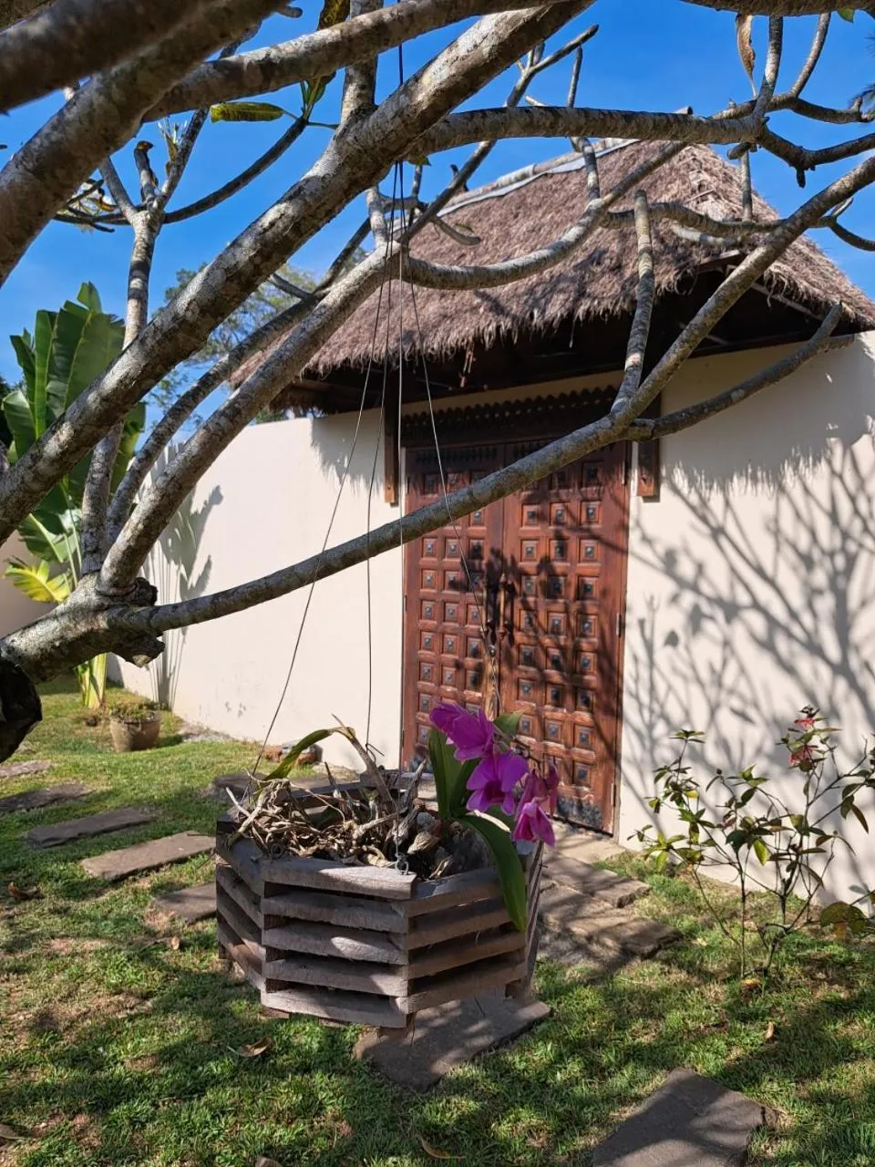 Garden in Laura's Guest House-adult only-