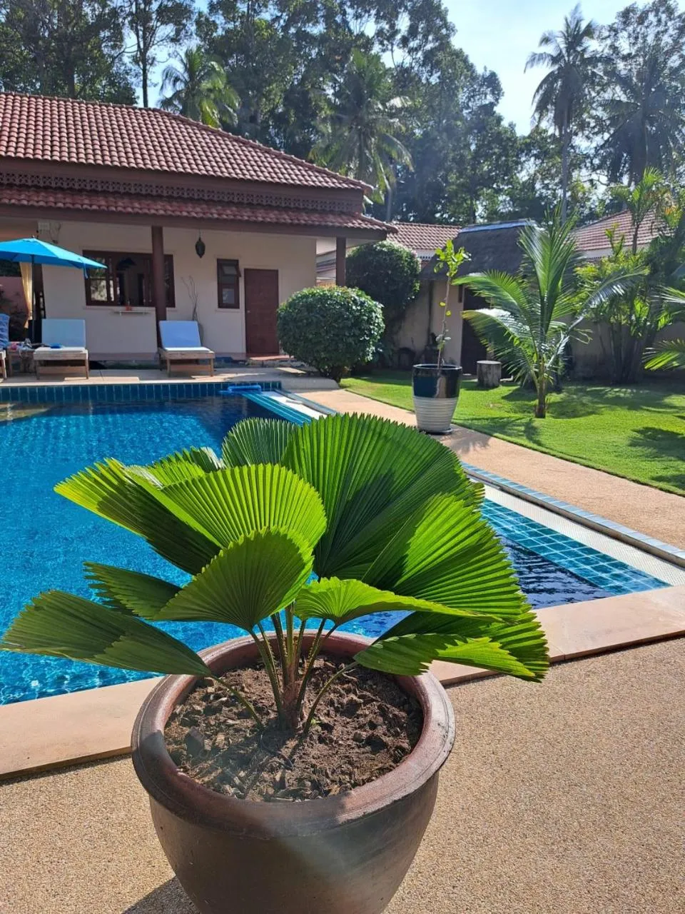 Garden in Laura's Guest House-adult only-