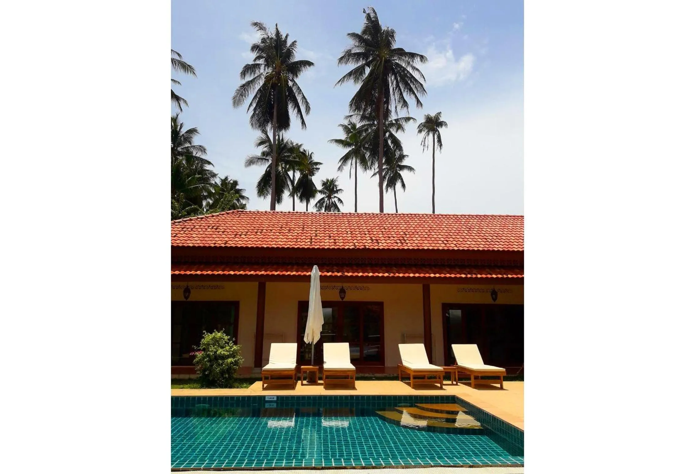 Garden view in Laura's Guest House-adult only-