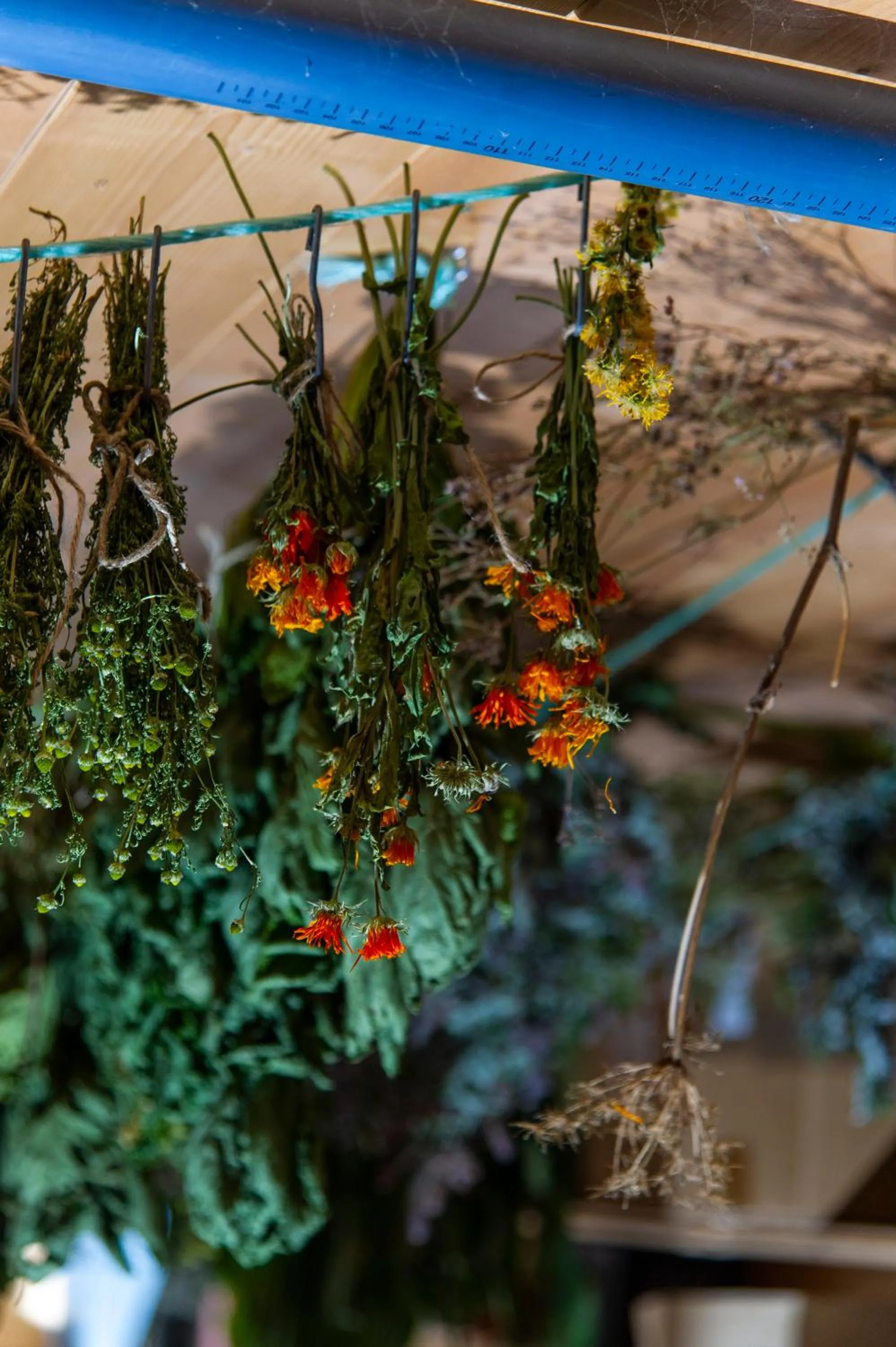 Day in Heimat - Das Natur Resort