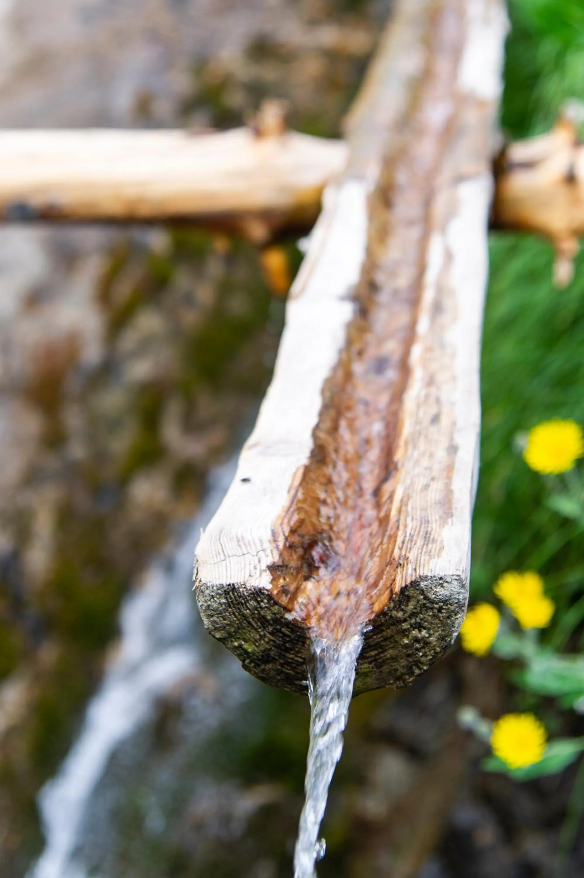 Natural landscape in Heimat - Das Natur Resort