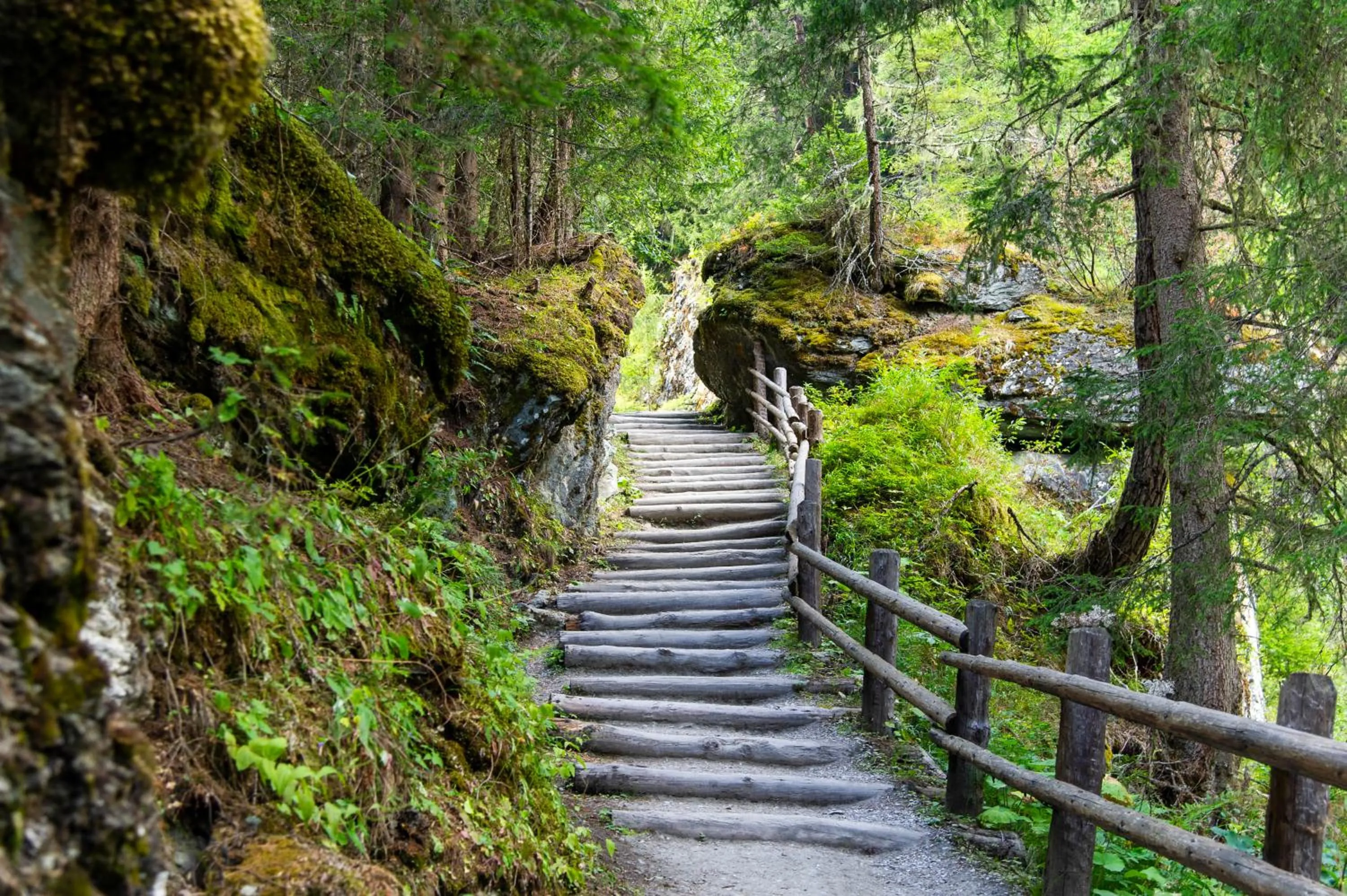 Natural landscape in Heimat - Das Natur Resort