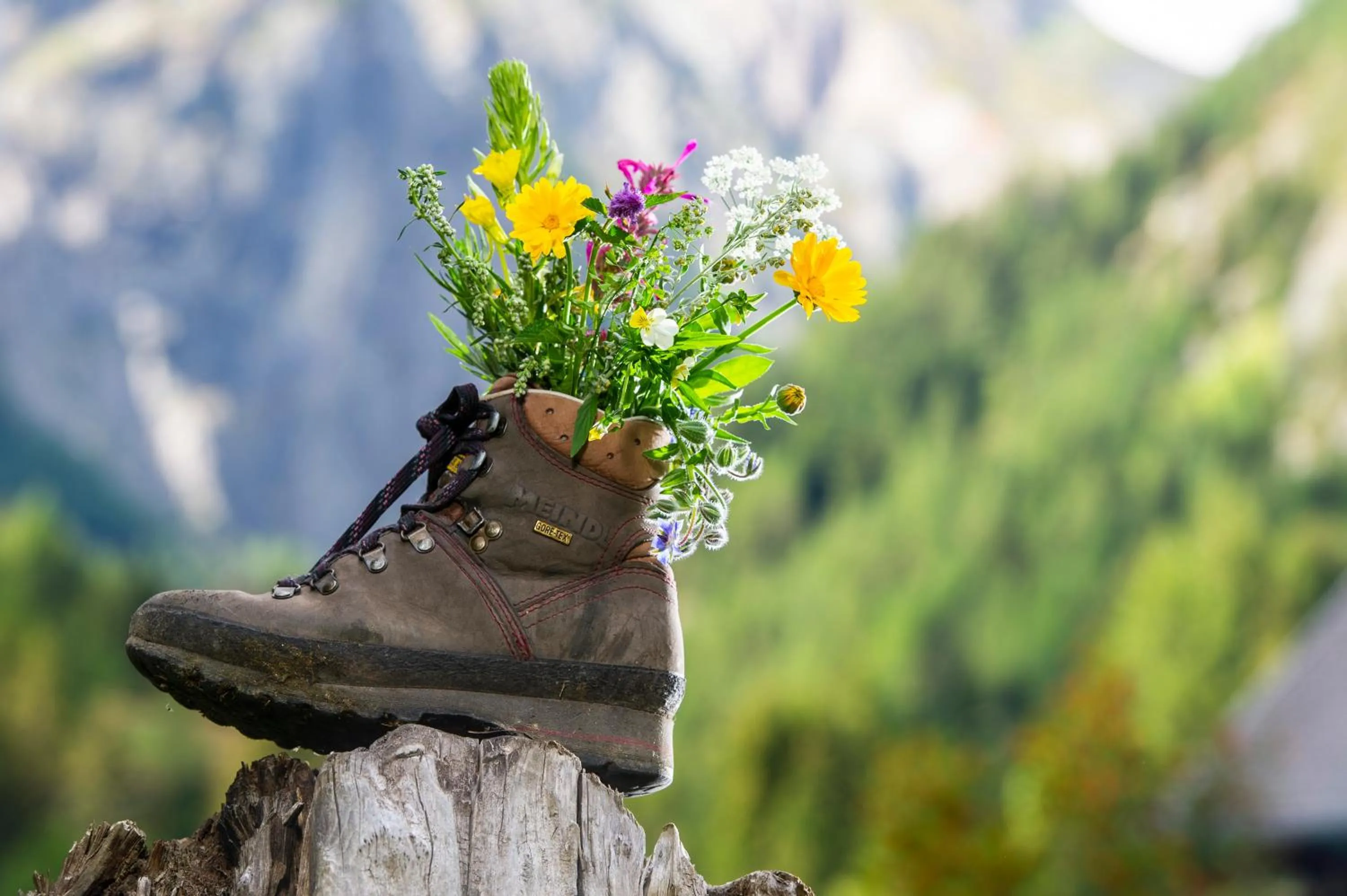 Spring in Heimat - Das Natur Resort