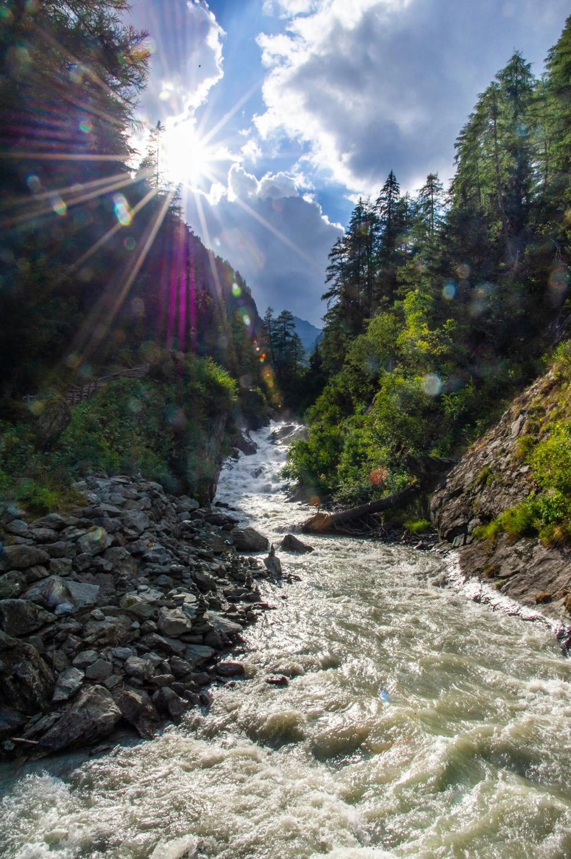 Natural landscape in Heimat - Das Natur Resort