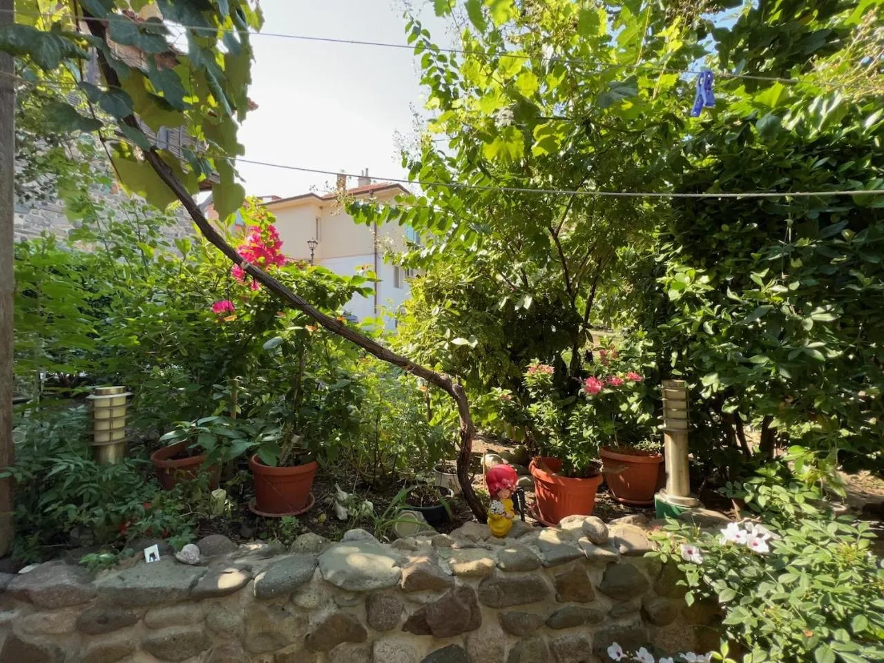 Garden view in Family Hotel Emilia