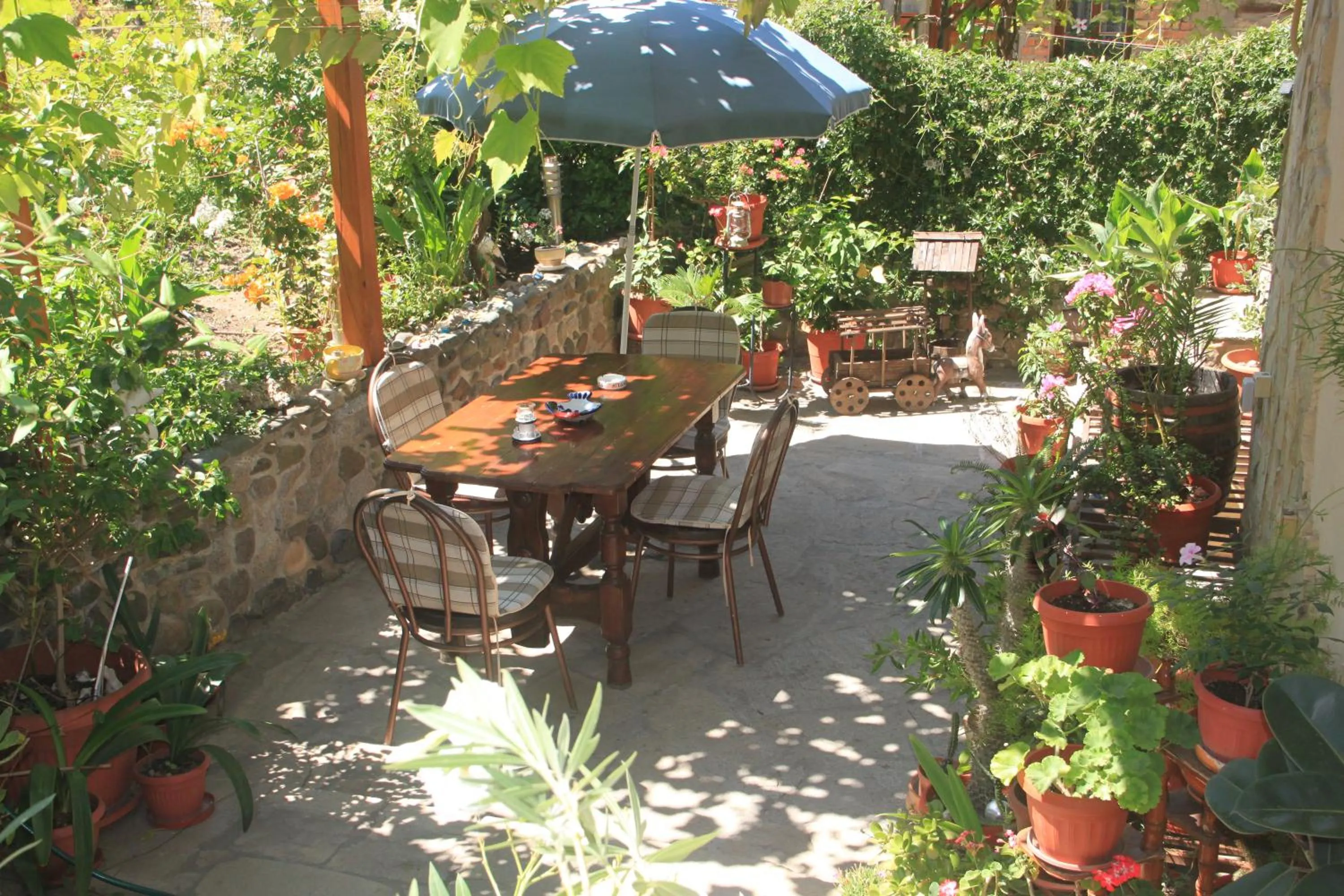 Garden in Family Hotel Emilia