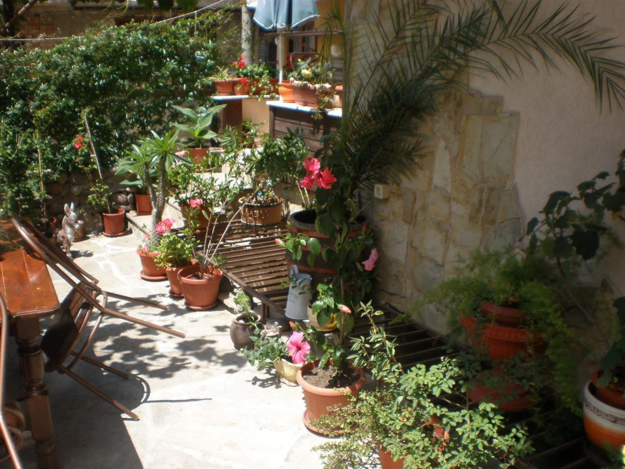 Garden in Family Hotel Emilia