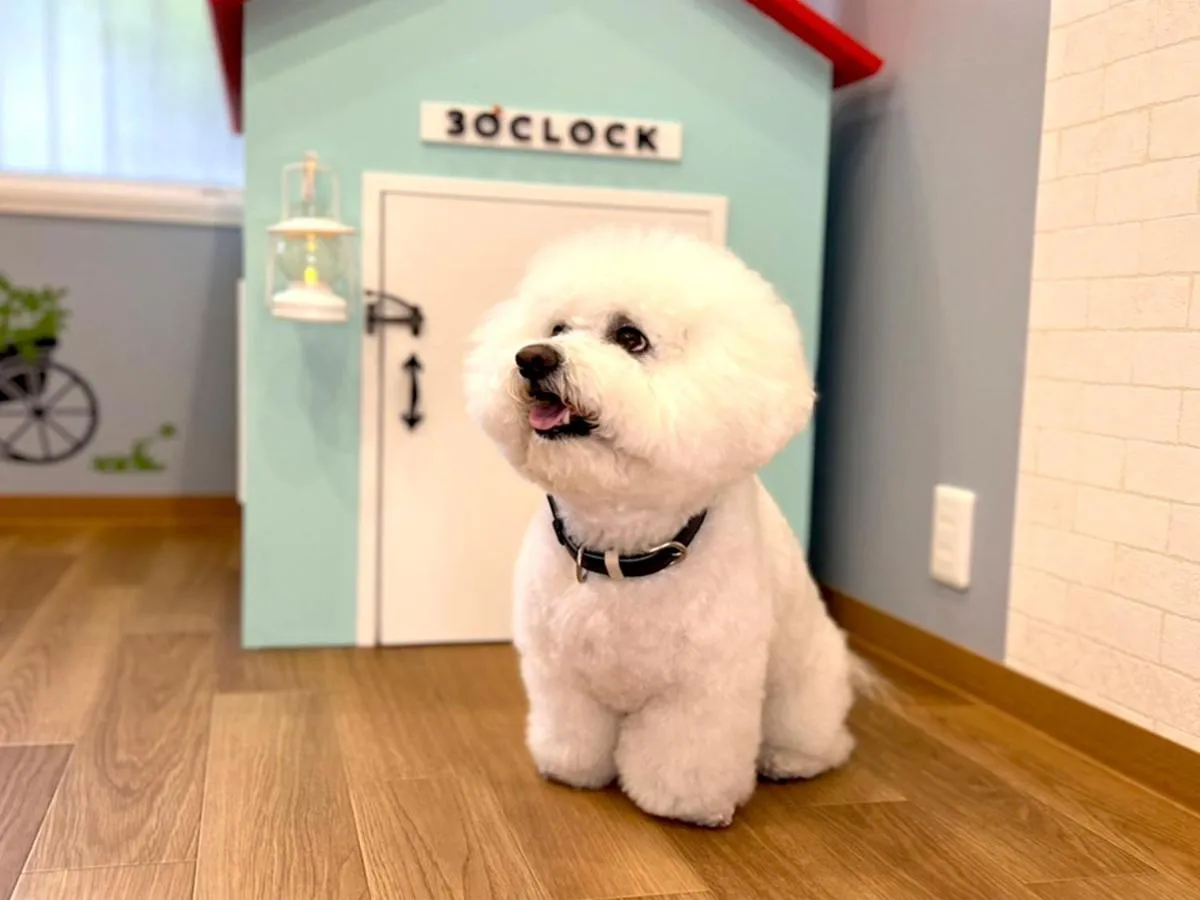 Hotel 3 O'Clock Tennoji