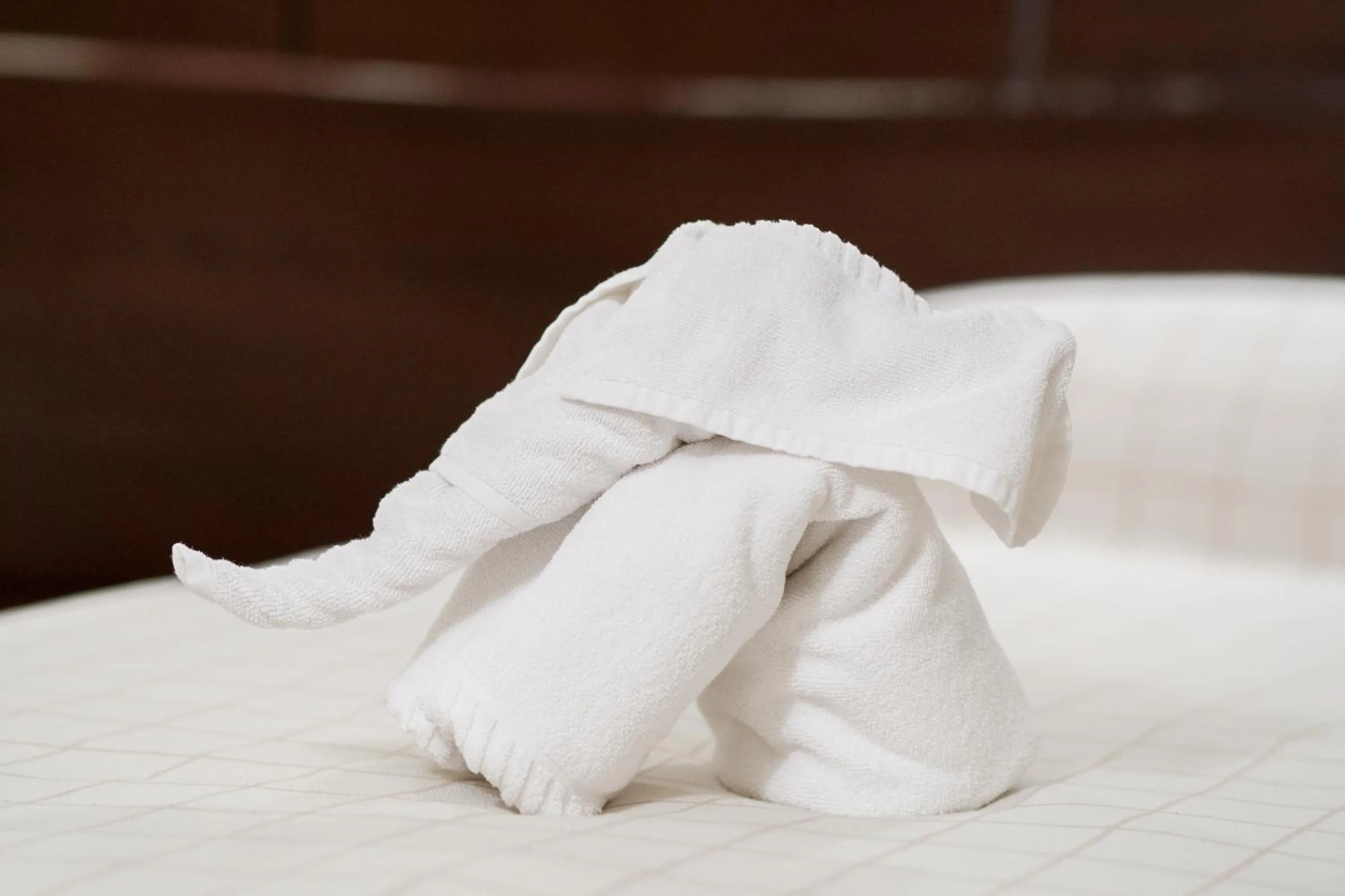 Decorative detail, Bed in Splendid Conference & Spa Hotel – Adults Only