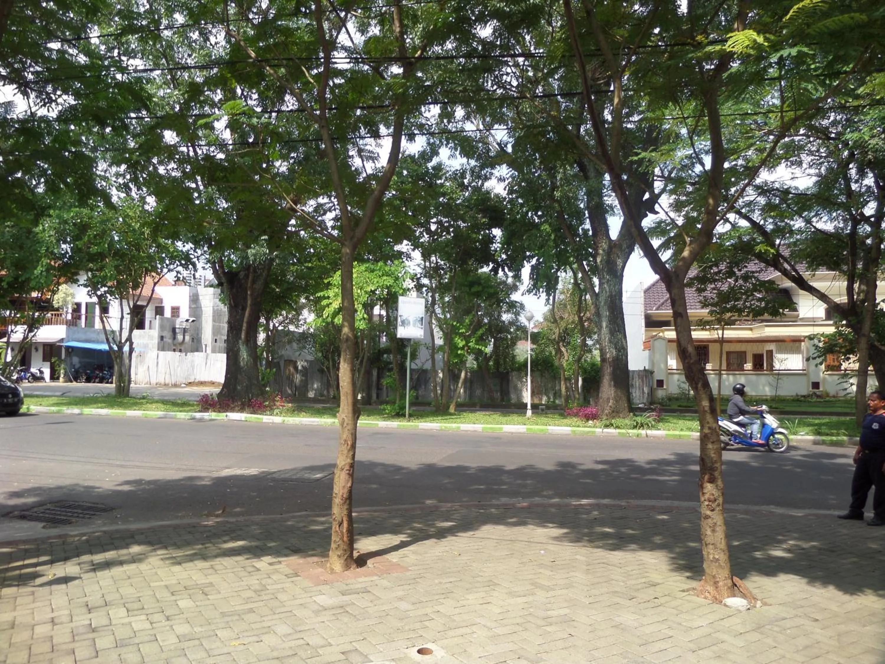 Day in Jacatra Homestay