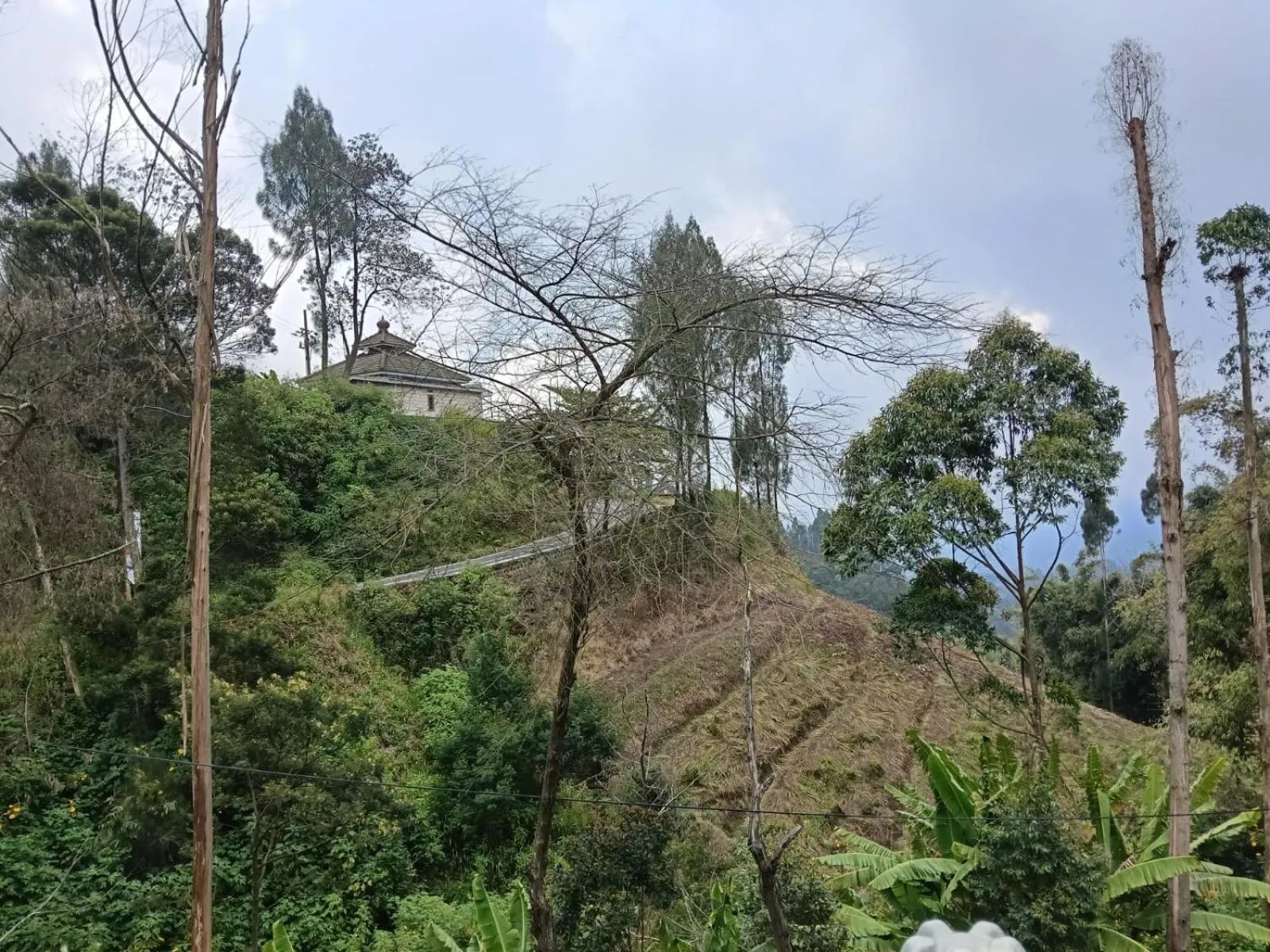 Other in Savana Guesthouse