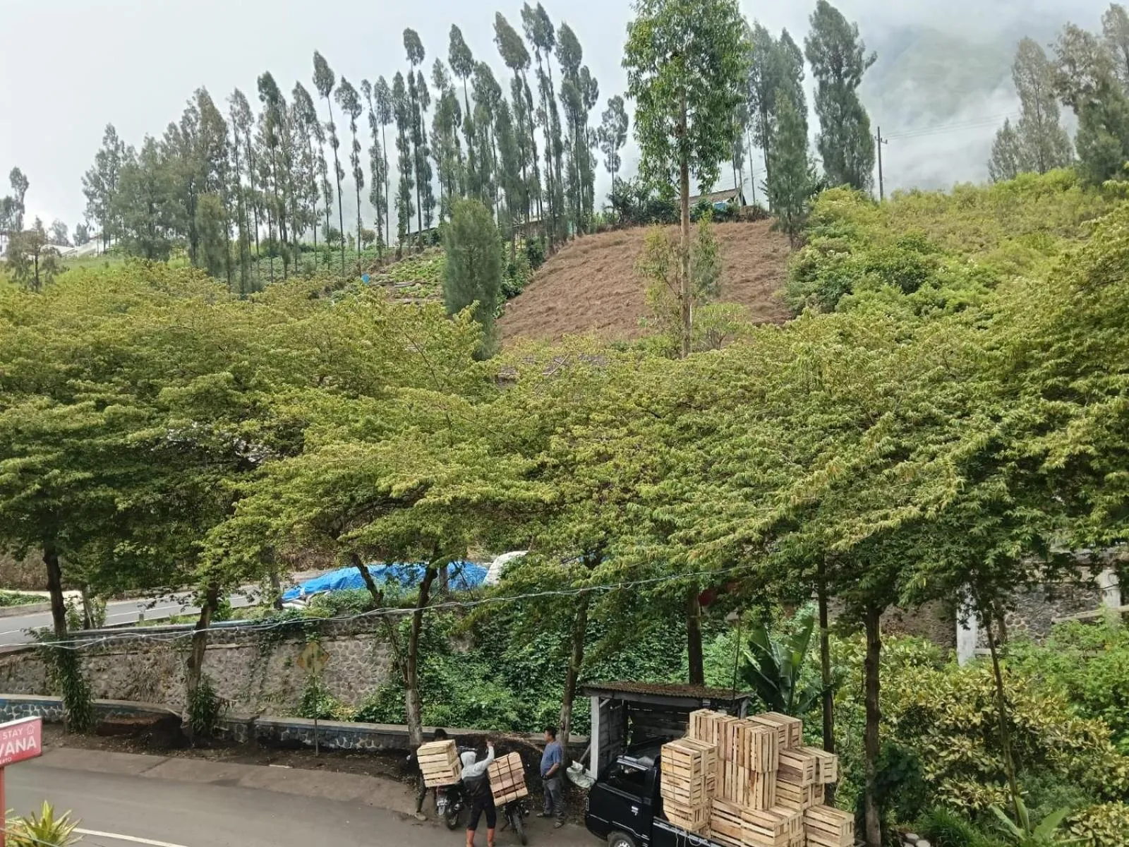 Other in Savana Guesthouse