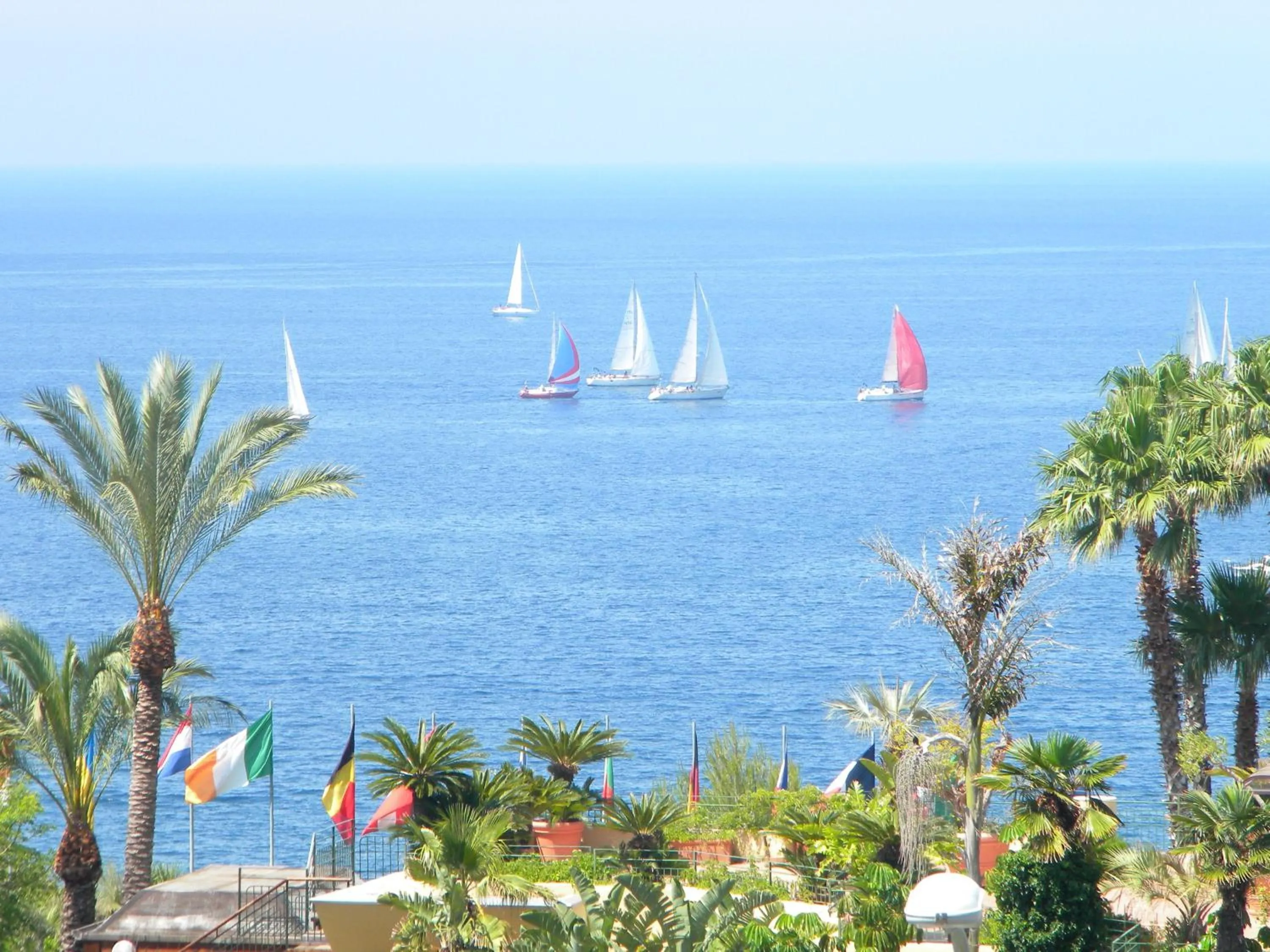 Windsurfing in Hotel Parco Conte