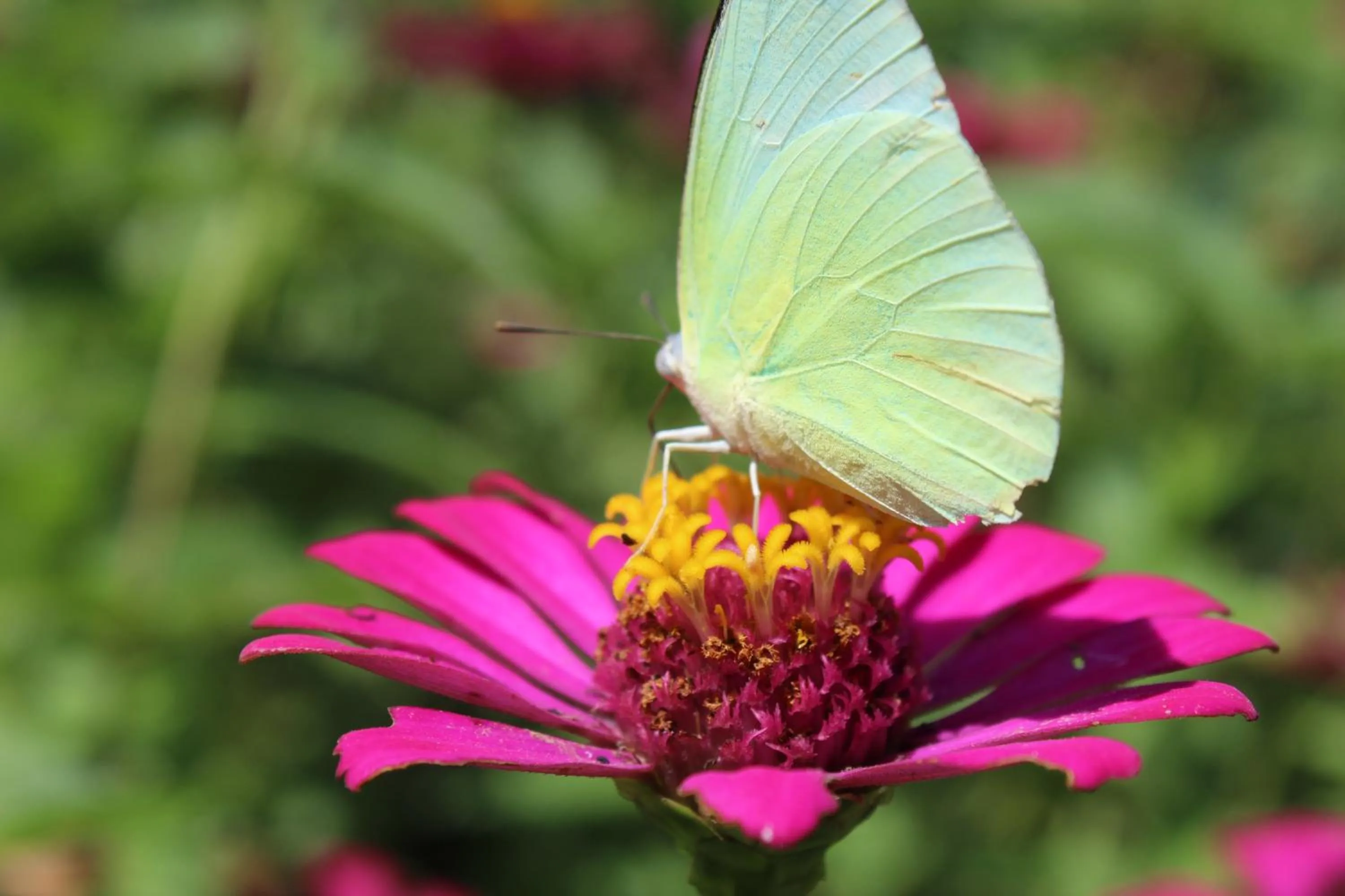 Garden view in Bong Thom Forest Lodge