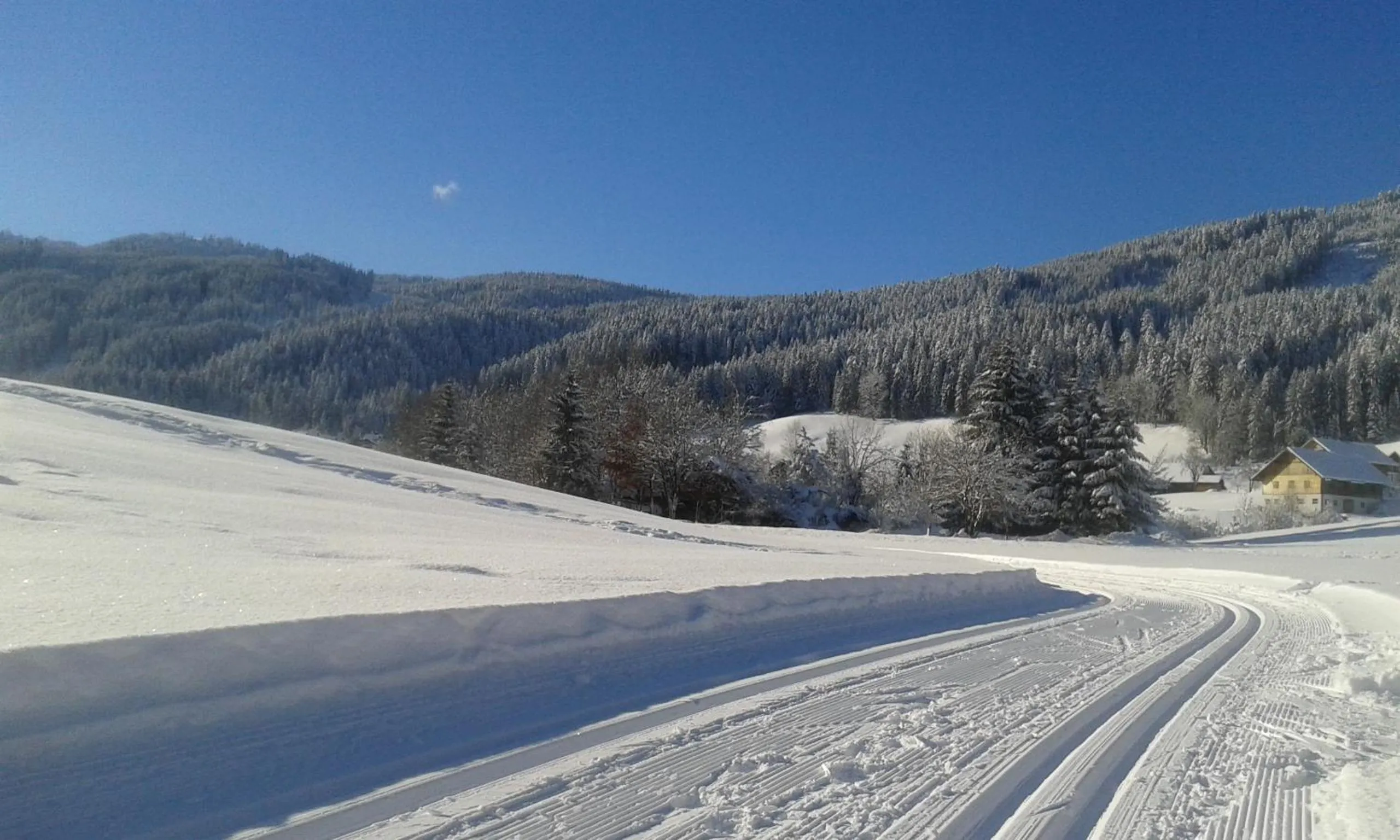 Natural landscape in Hotel - Restaurant Gosauerhof