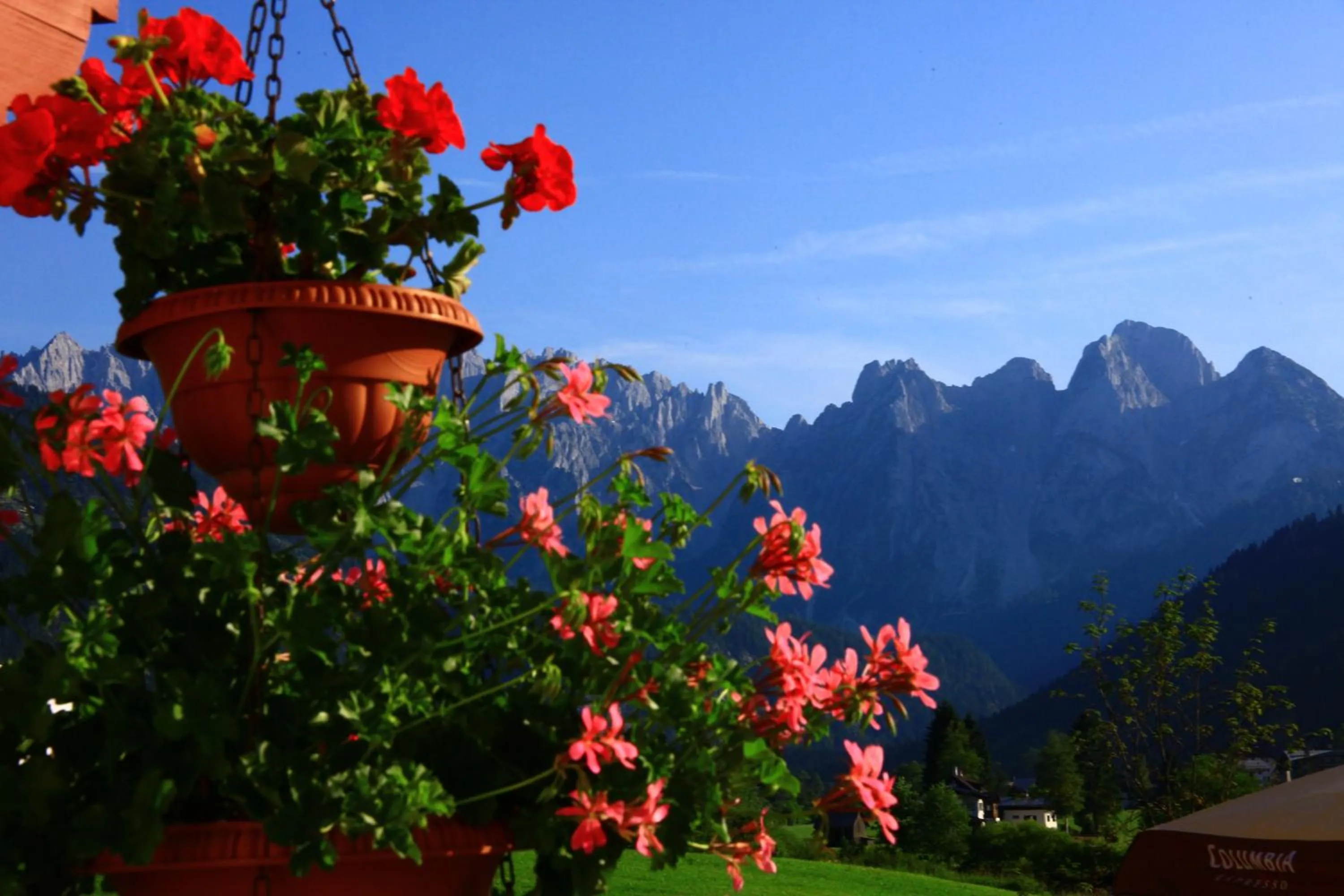 Area and facilities in Hotel - Restaurant Gosauerhof