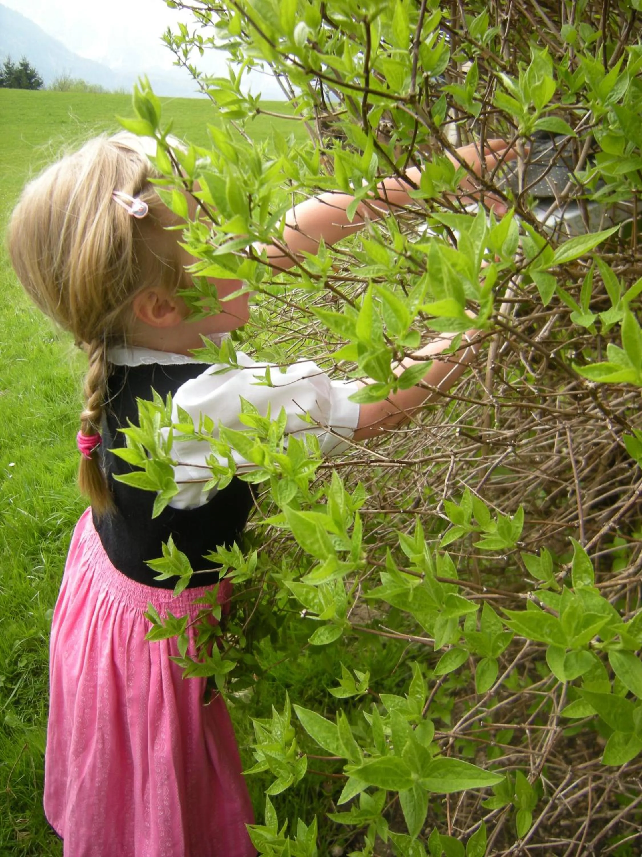 People in Hotel - Restaurant Gosauerhof
