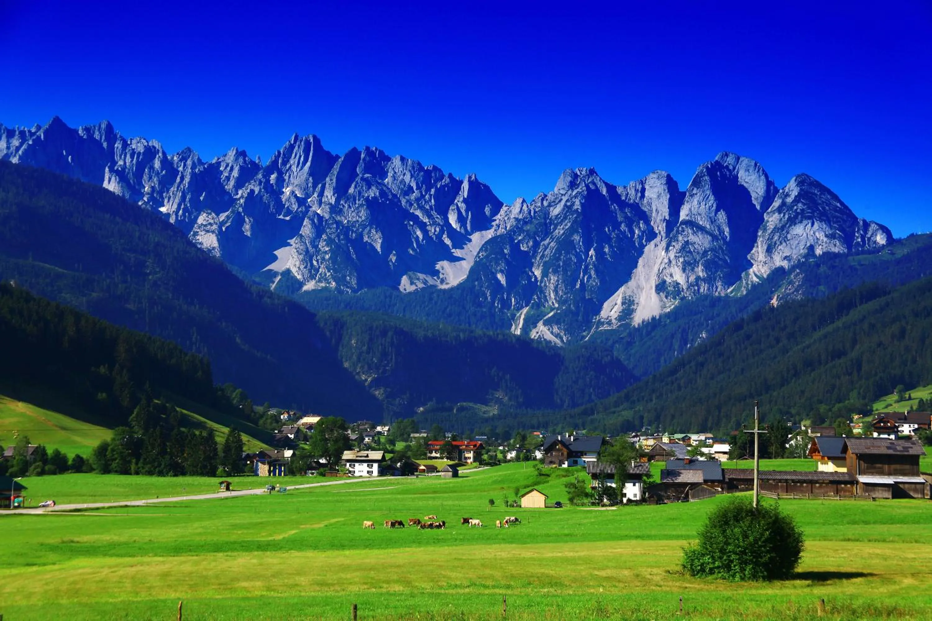 Area and facilities in Hotel - Restaurant Gosauerhof