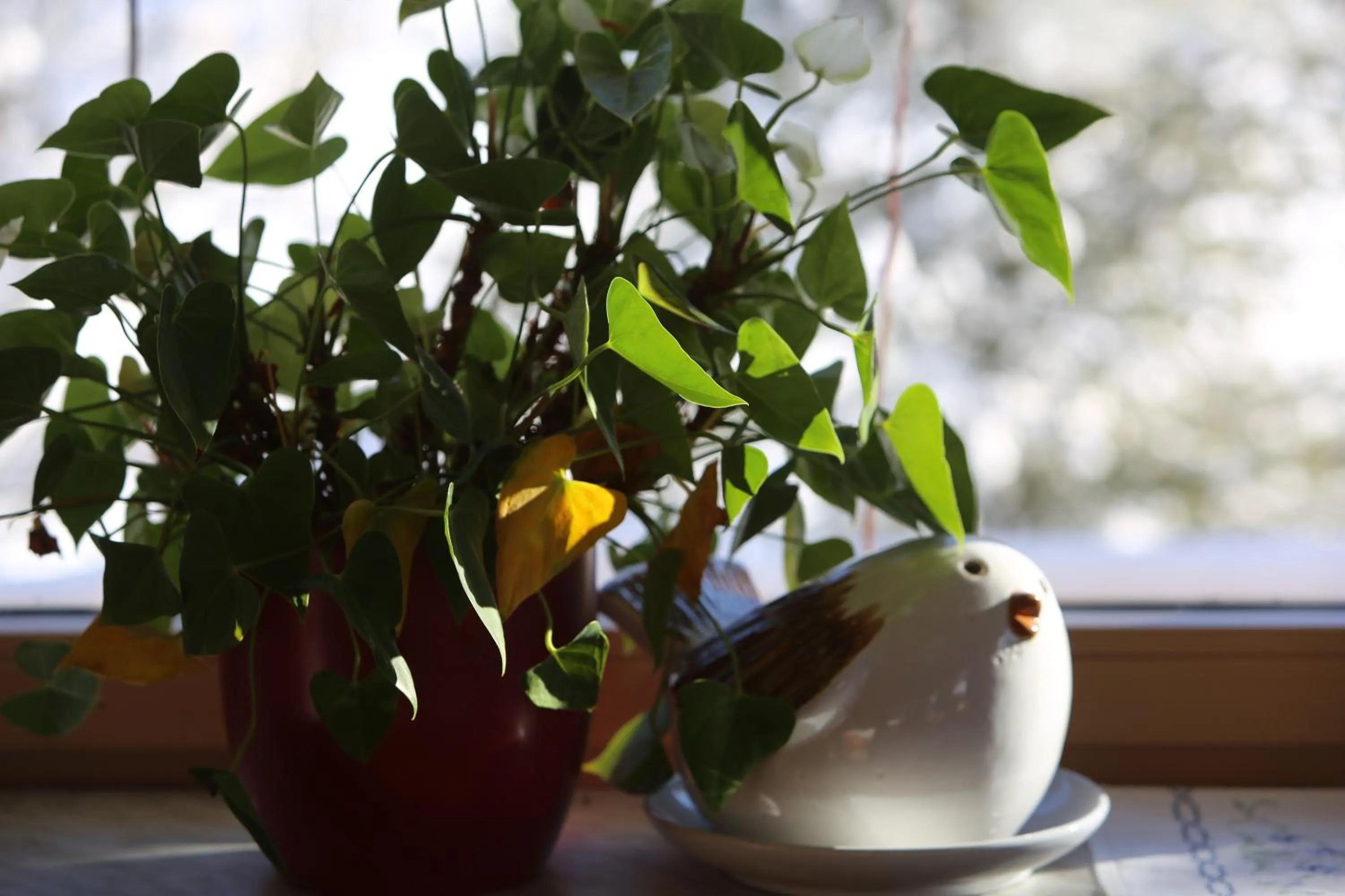 Restaurant/places to eat in Hotel - Restaurant Gosauerhof