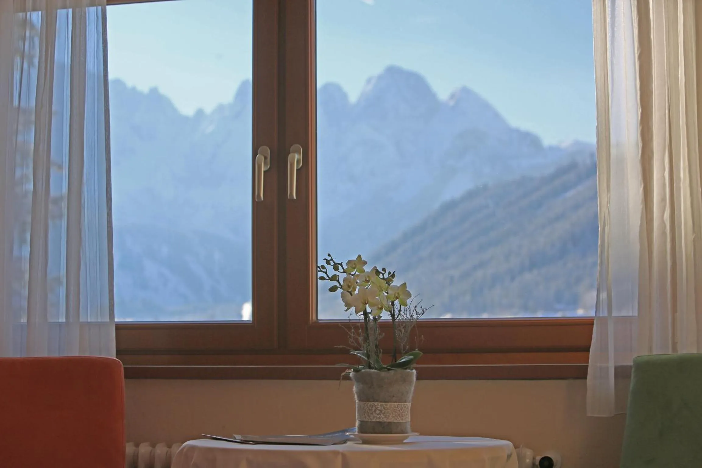 Mountain view in Hotel - Restaurant Gosauerhof