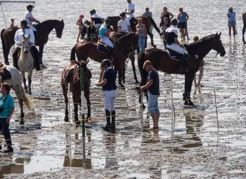 Horse-riding in Lighthouse Hotel & Spa