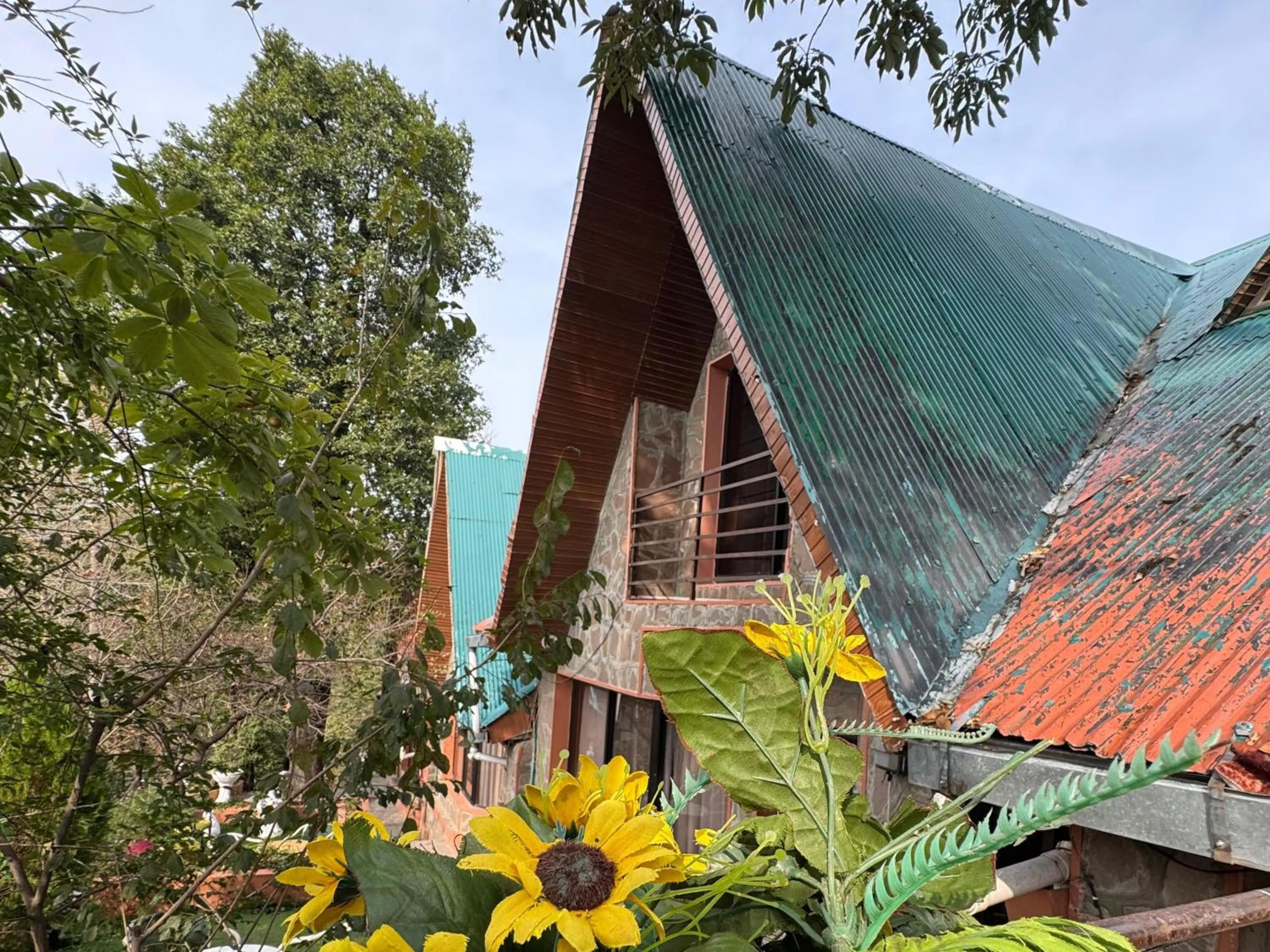 VIP in Maisonette Firhill Hotel & Resort