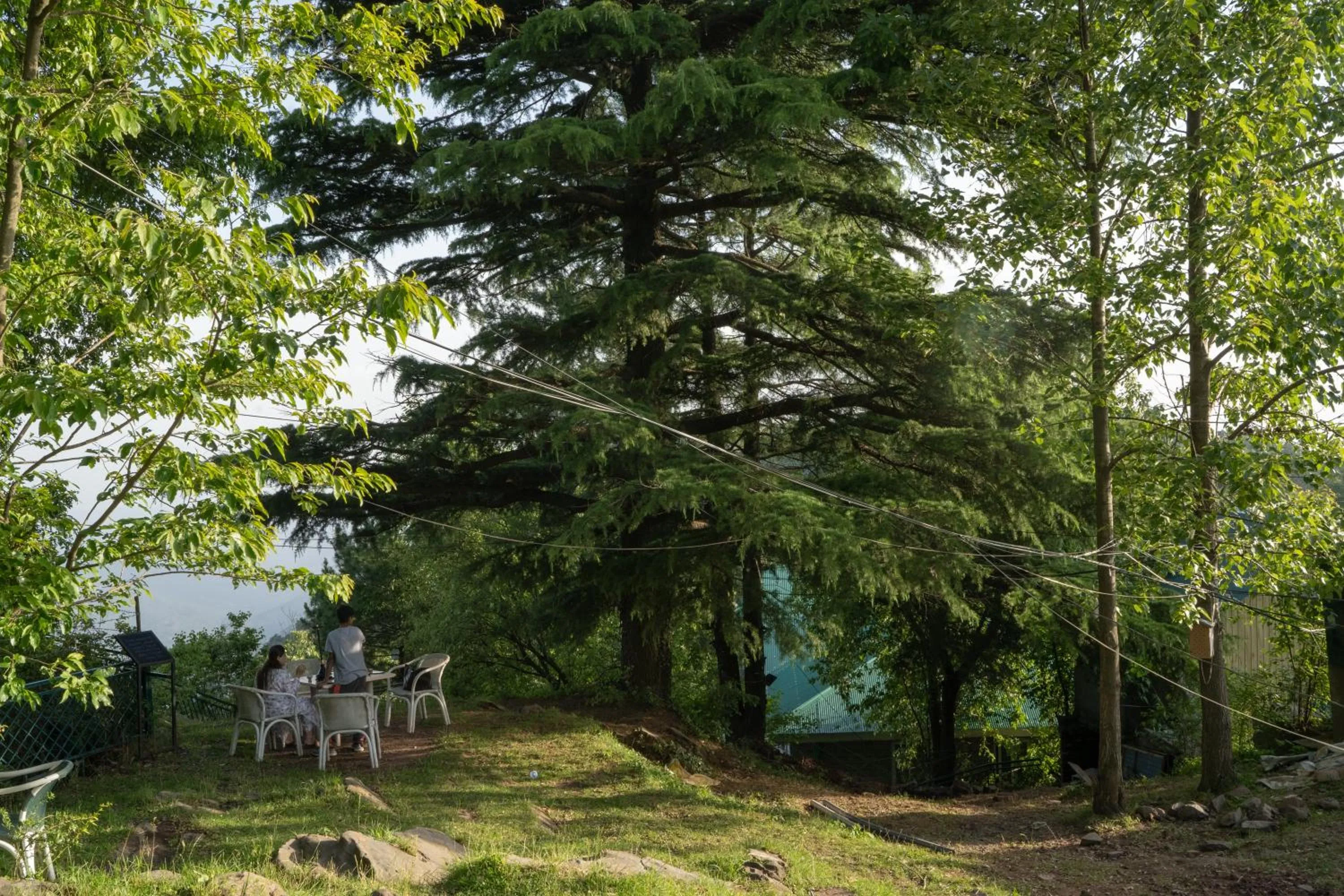 Natural landscape in Maisonette Firhill Hotel & Resort