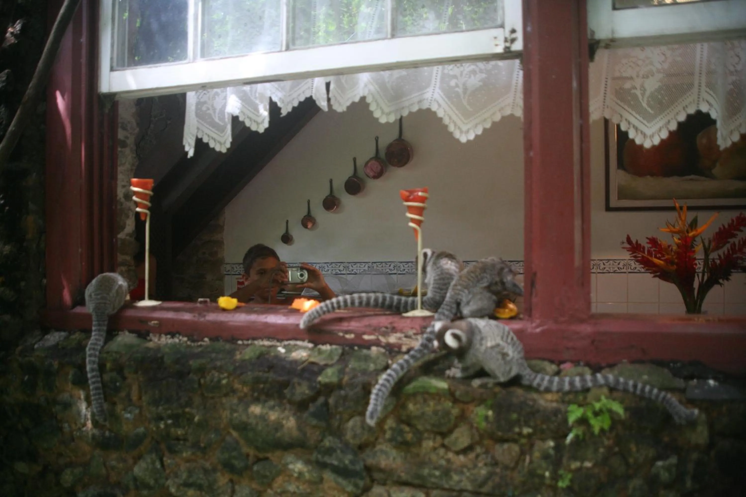 Day in Pousada Arte Colonial - Casarão Histórico do Séc XVIII - Lancha Própria