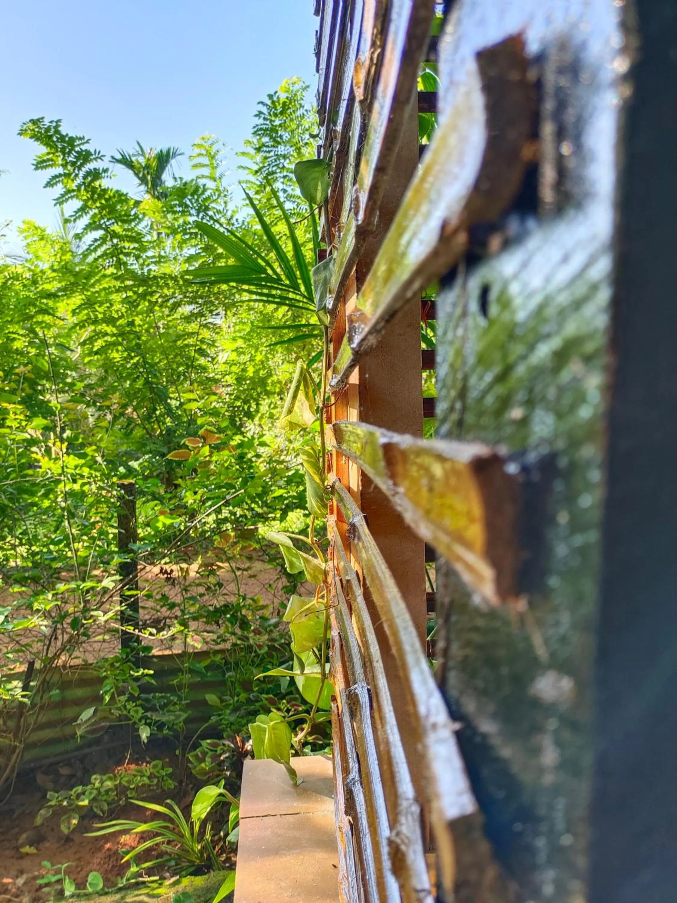 Anamala Serenity Homestay Kerala