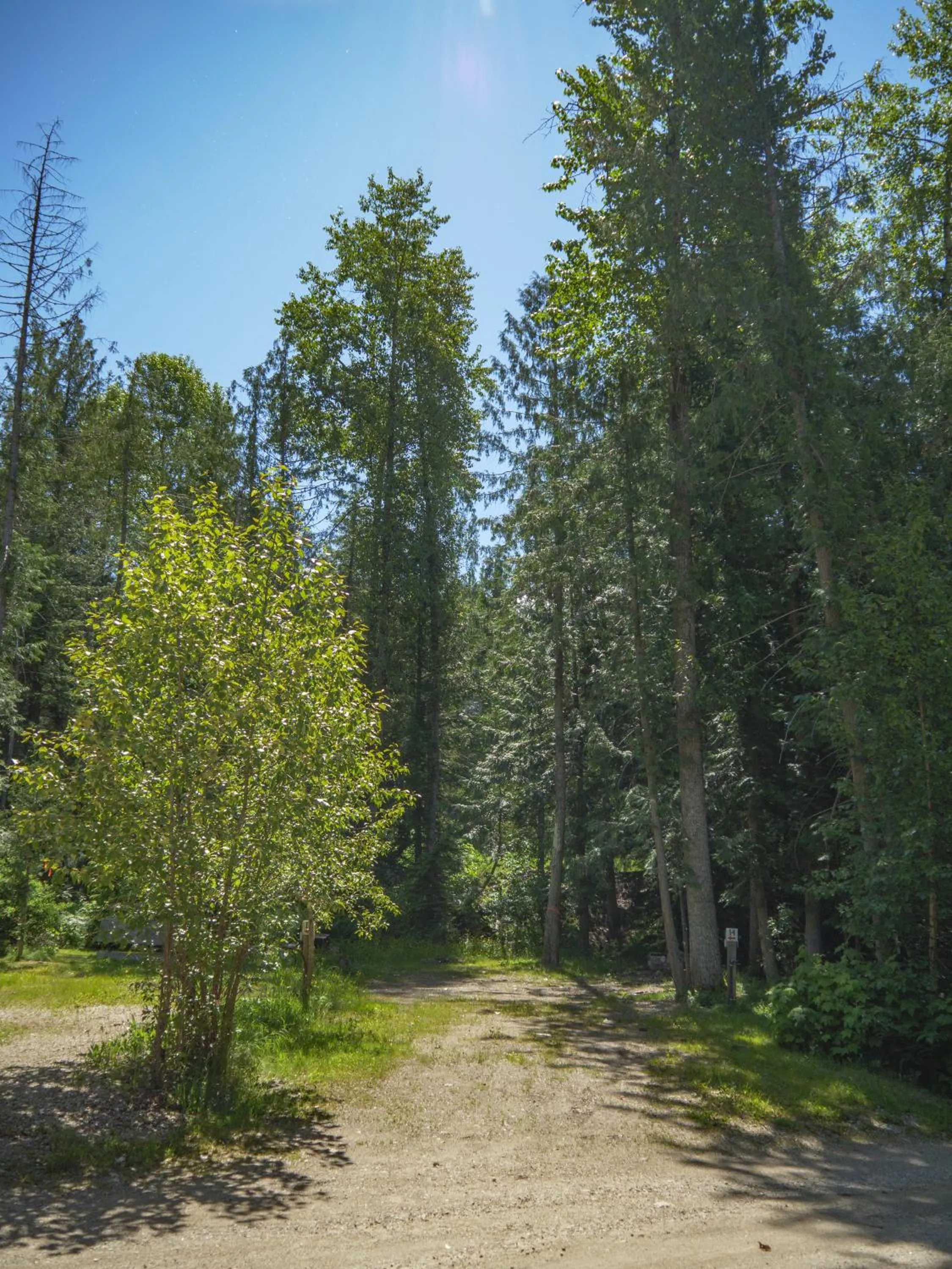 Property building in Noah's Ark Campground
