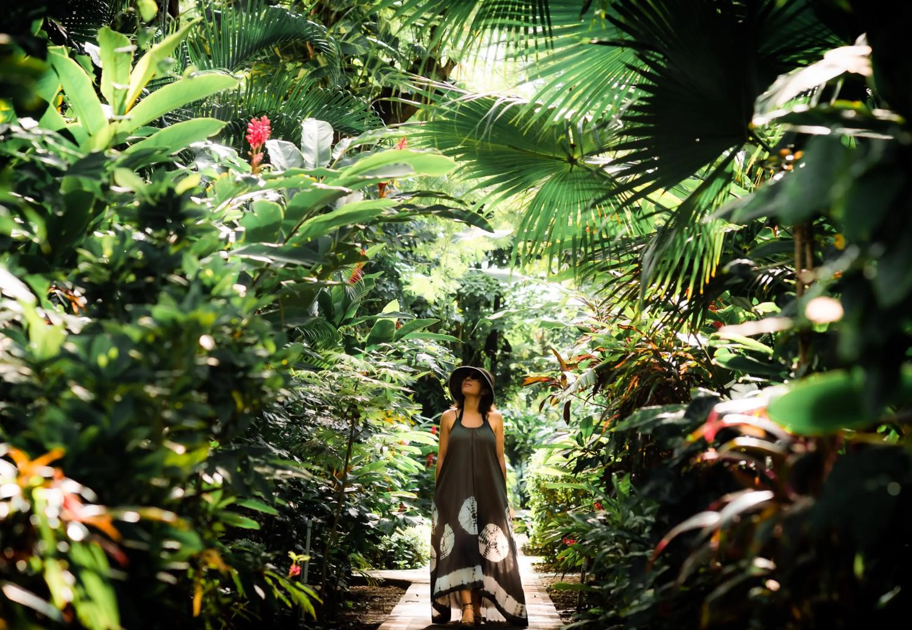 Beach in Bahia del Sol Beach front Boutique Hotel