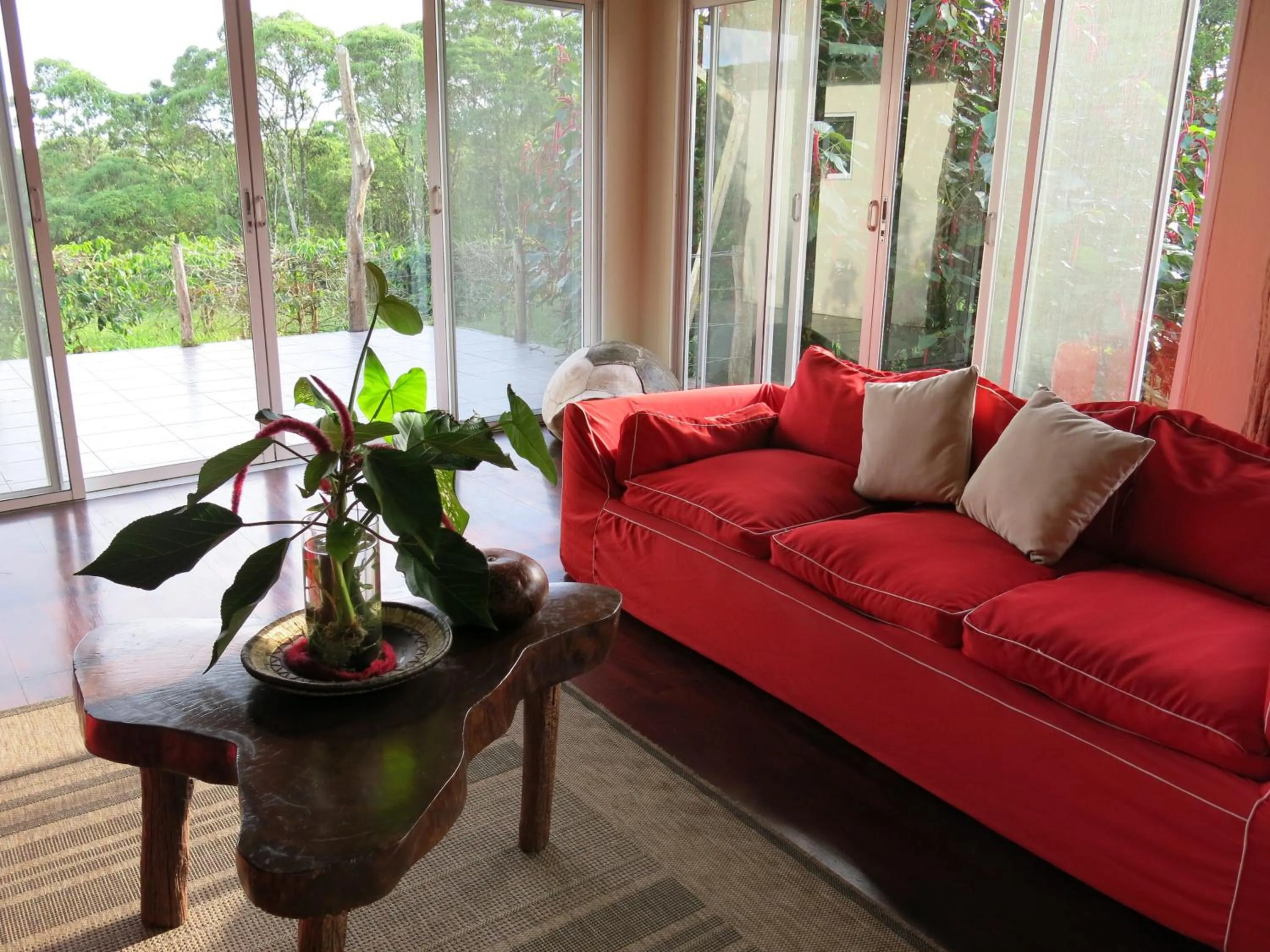 Lounge or bar in Semilla Verde Boutique Hotel