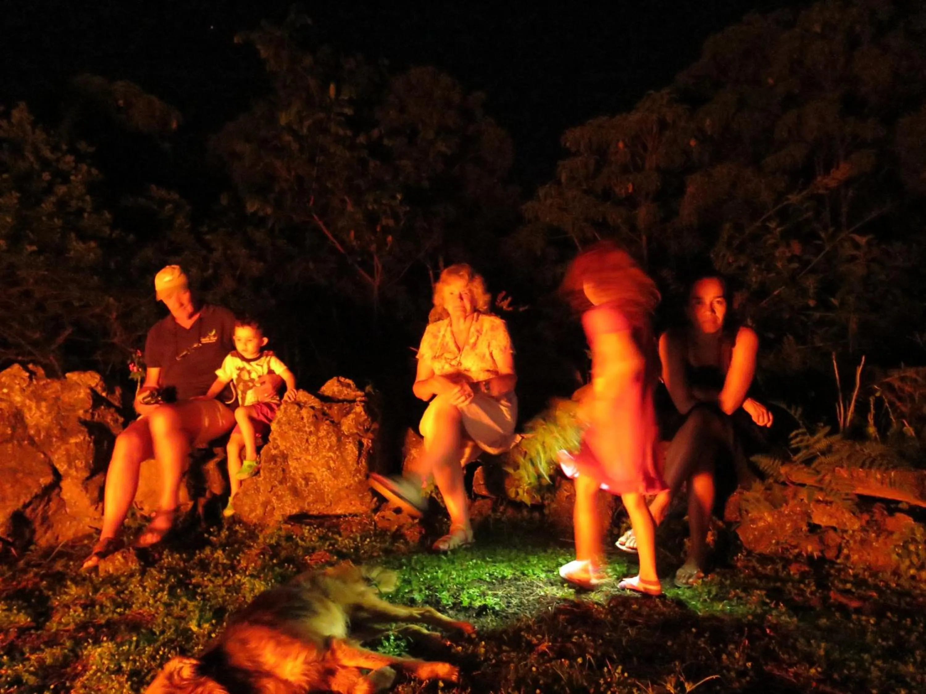 Area and facilities in Semilla Verde Boutique Hotel