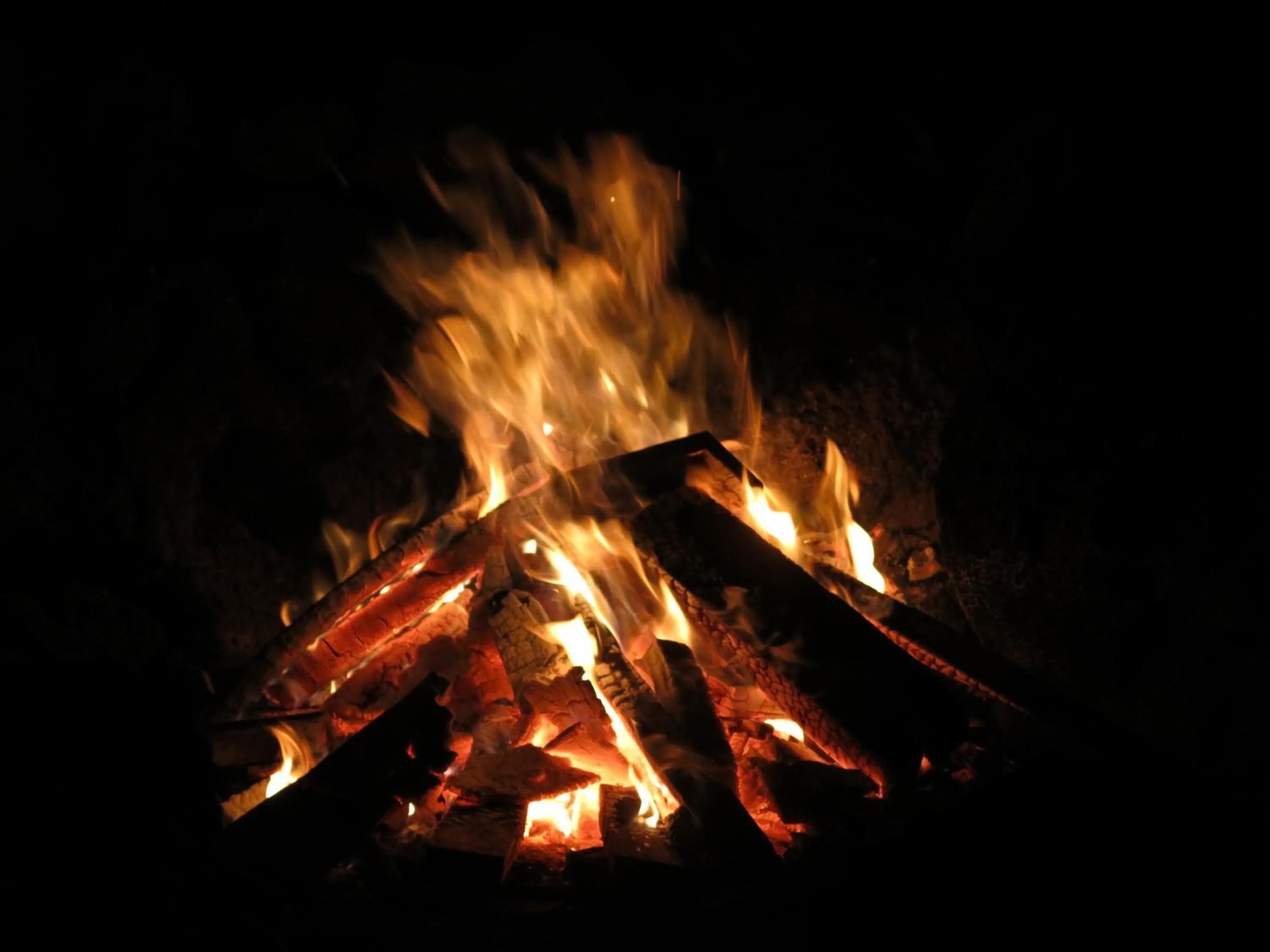 Area and facilities in Semilla Verde Boutique Hotel