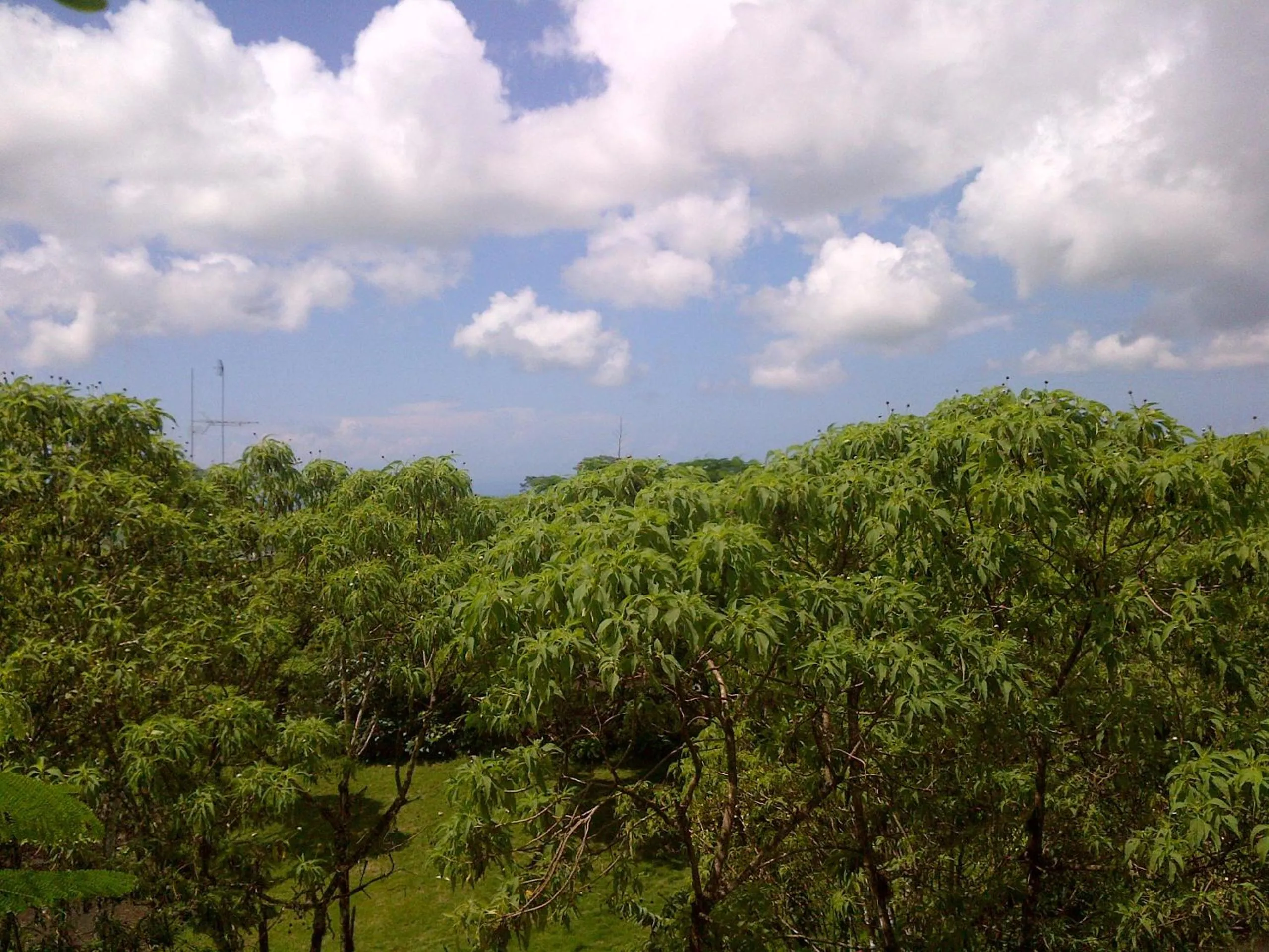 Garden in Semilla Verde Boutique Hotel