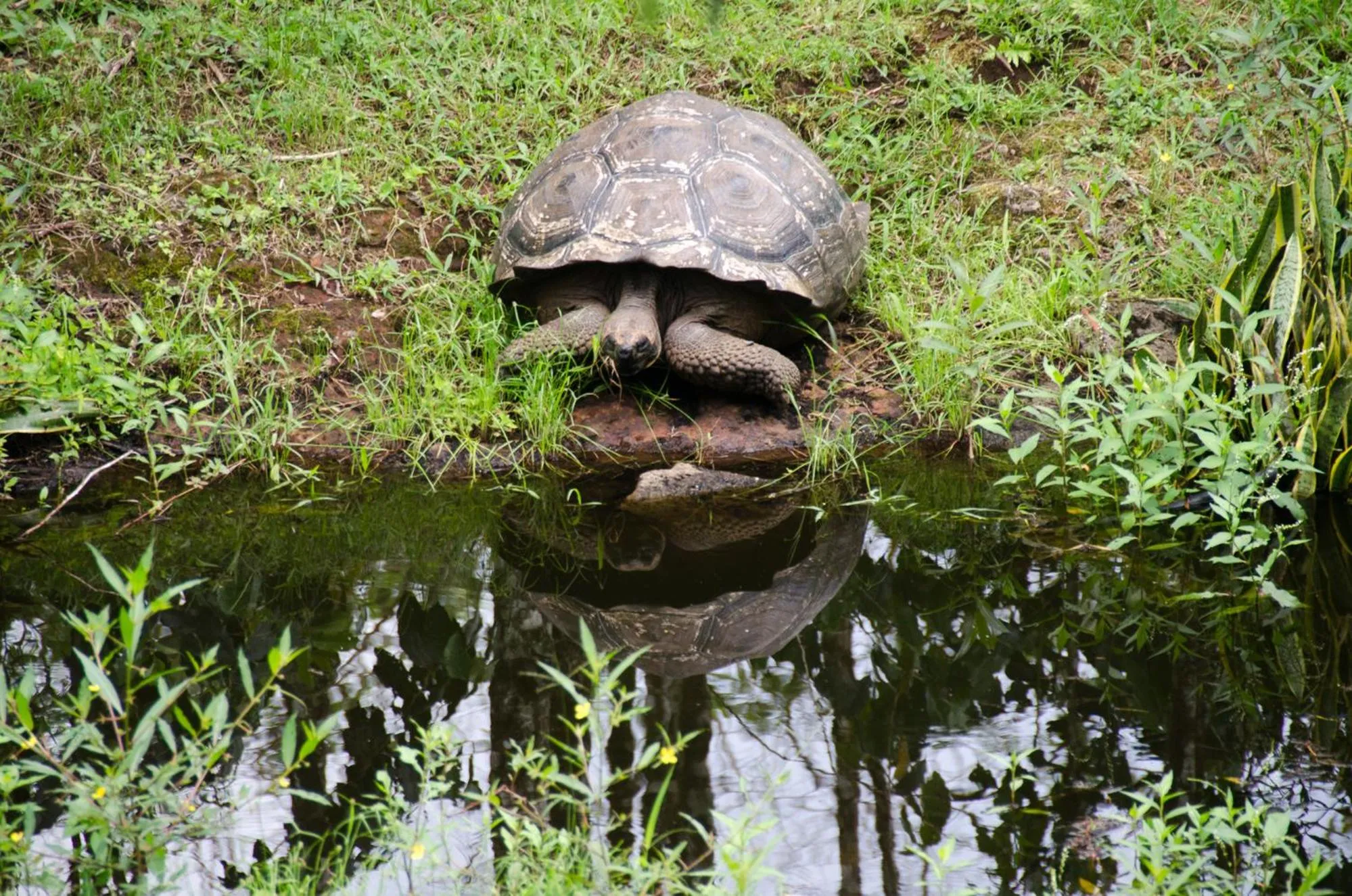 Semilla Verde Boutique Hotel