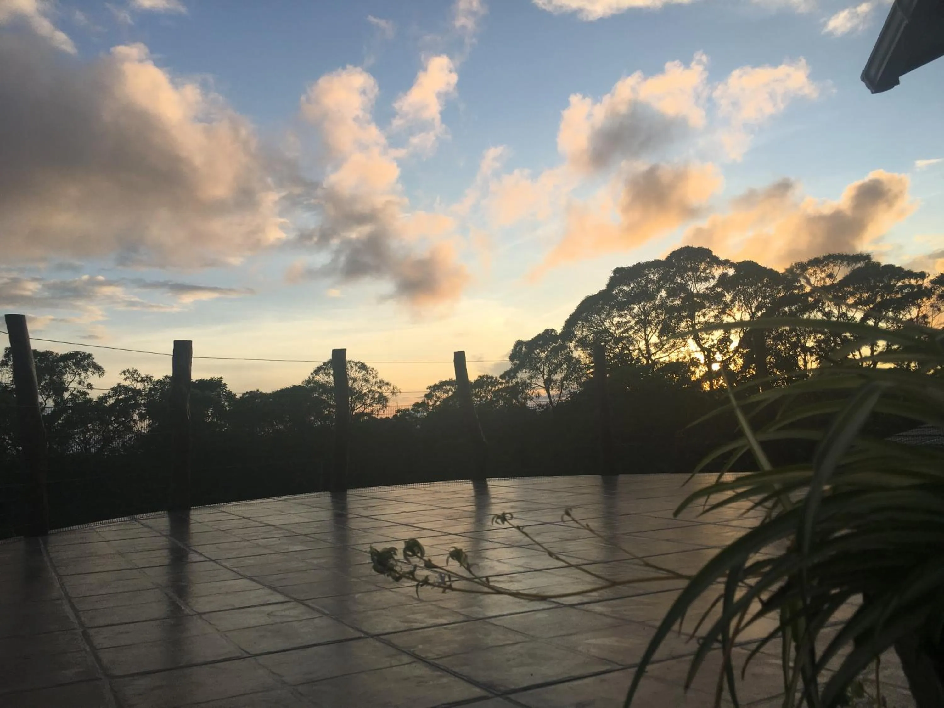 Balcony/Terrace in Semilla Verde Boutique Hotel