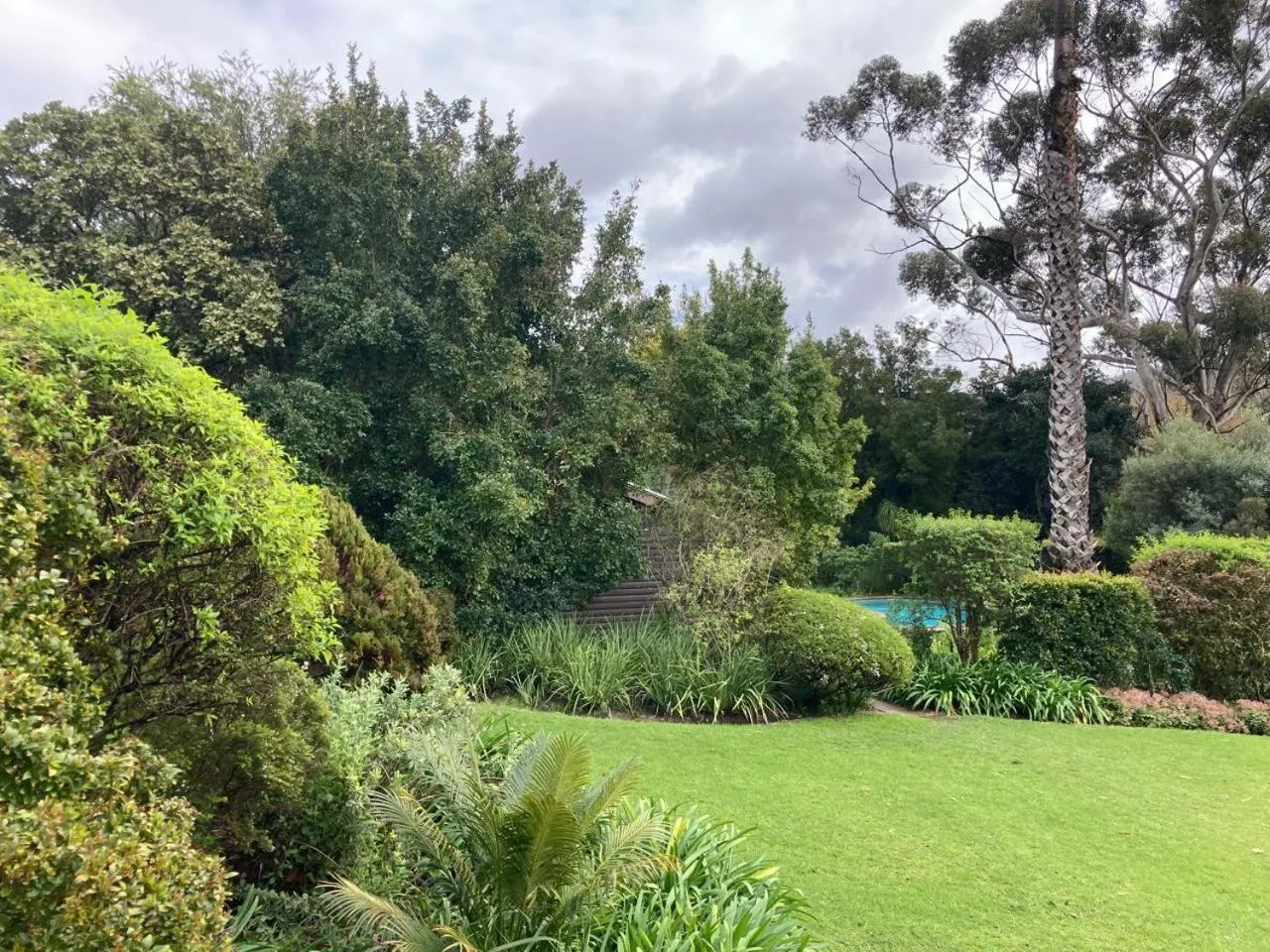 Natural landscape in Sanddrif Stellenbosch Guest Farm