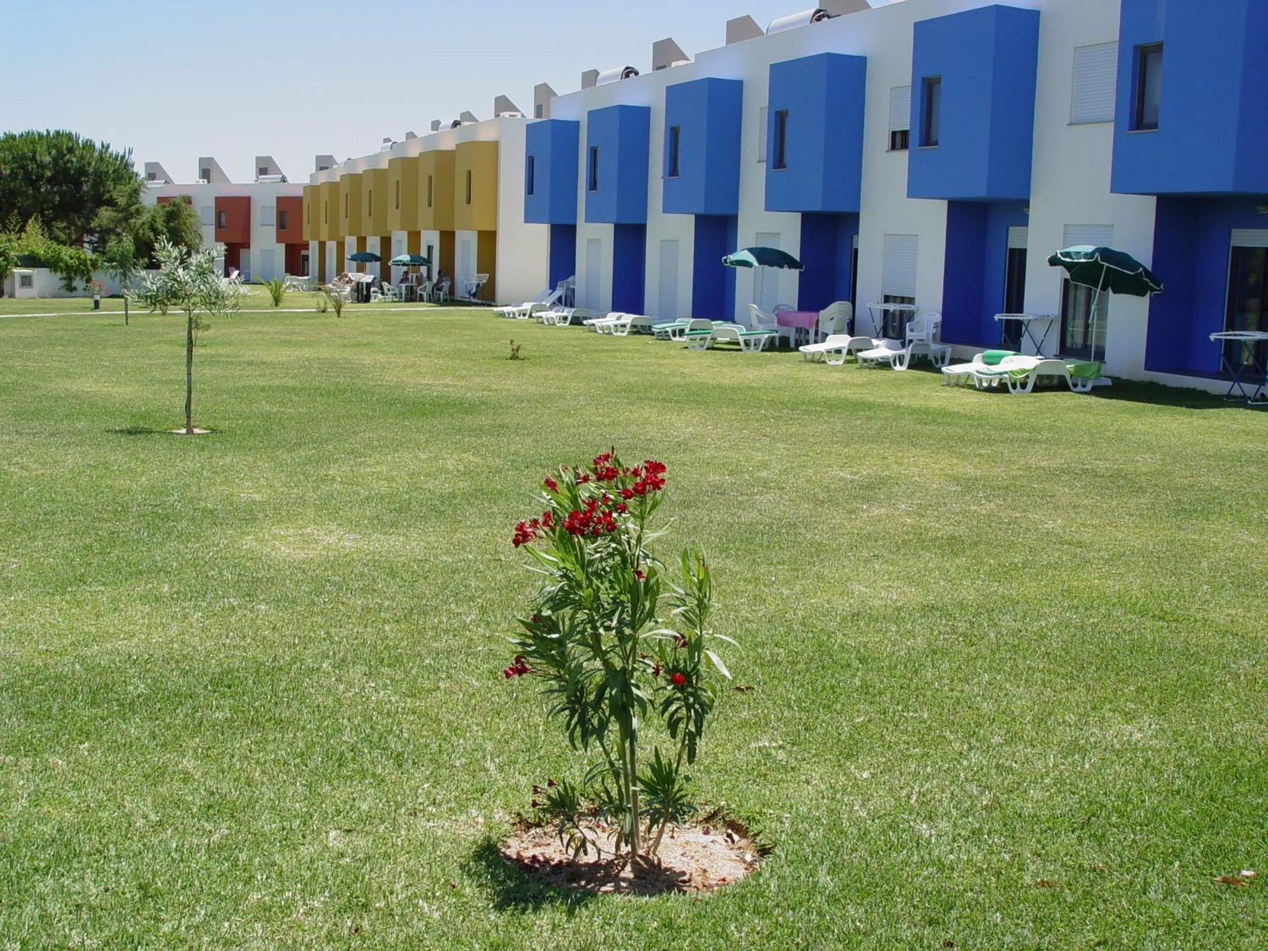 Garden in Quinta Das Figueirinhas & Quintinha Village
