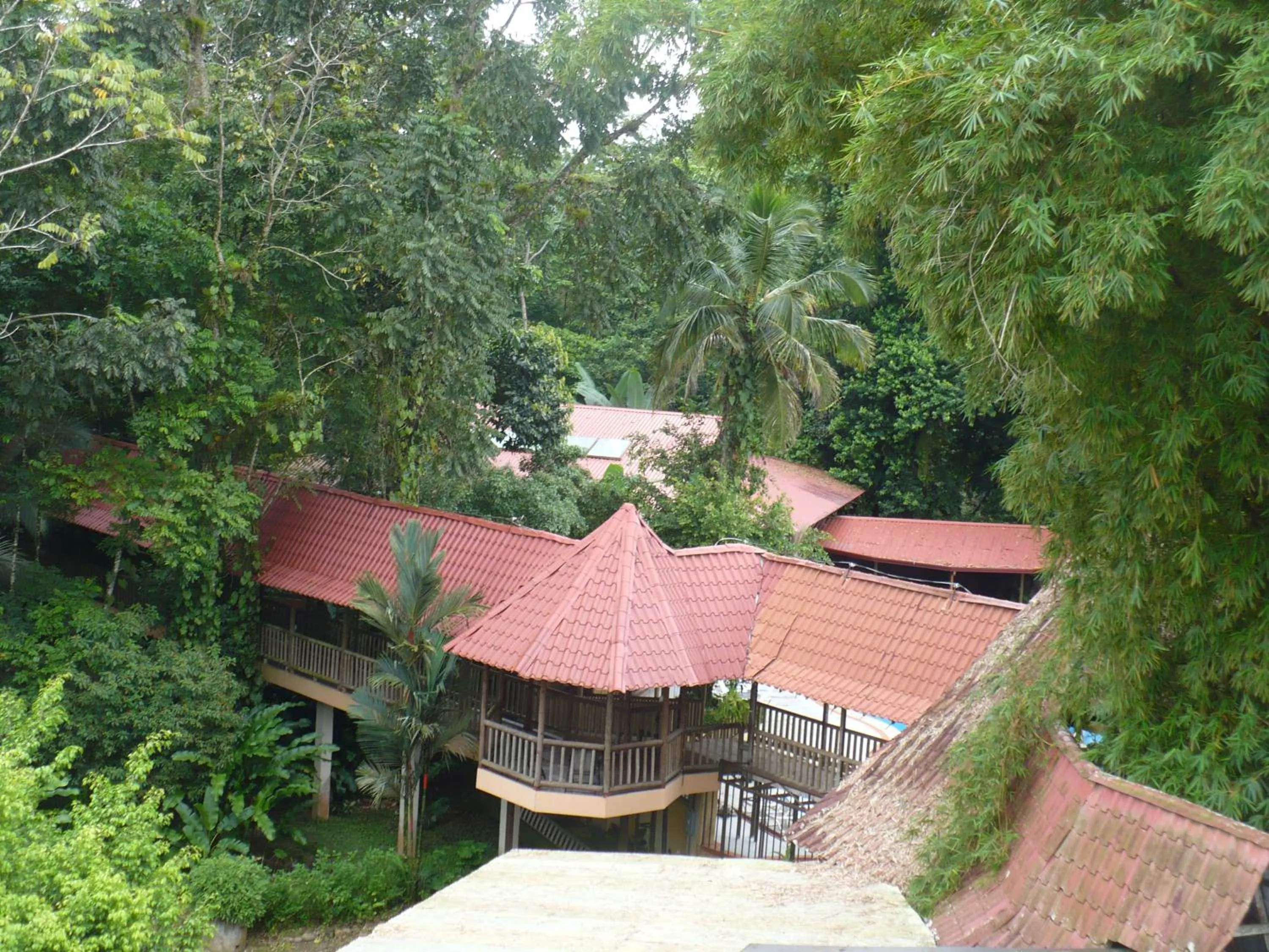 Garden view in Hotel El Bambu